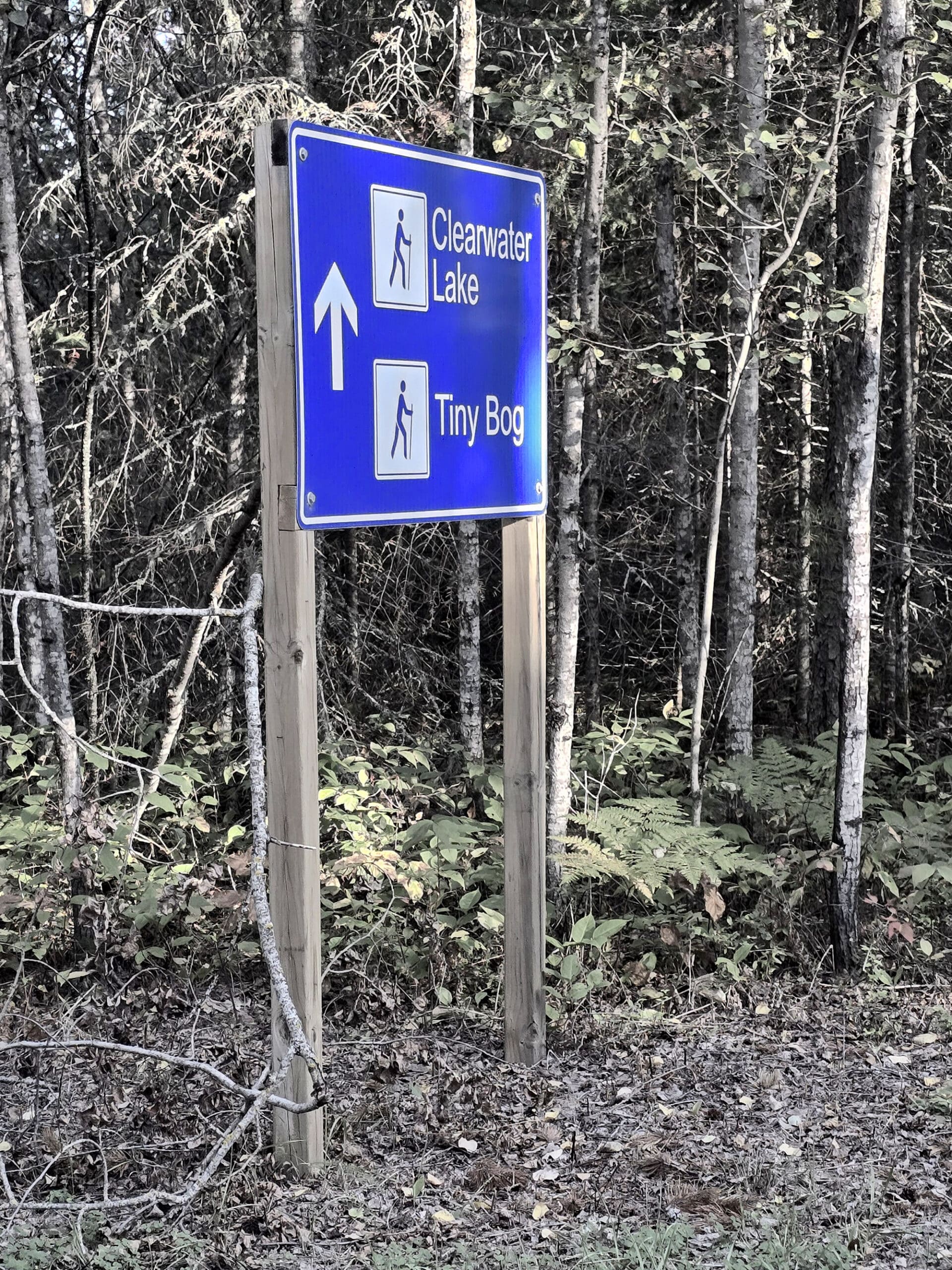 A blue and white road sign.