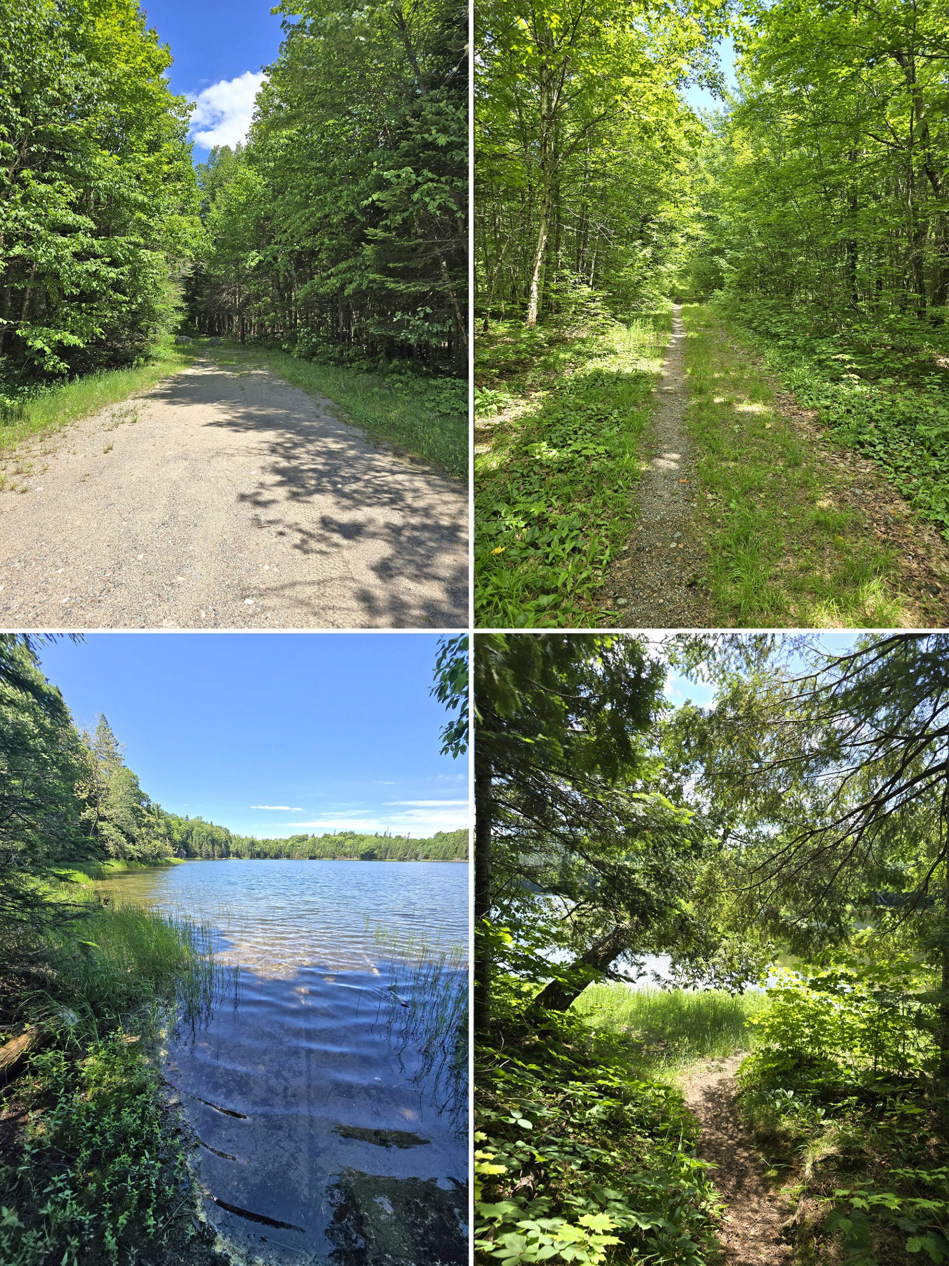 4 part image showing various views along the Crescent Lake Trail in Lake Superior Provincial Park.