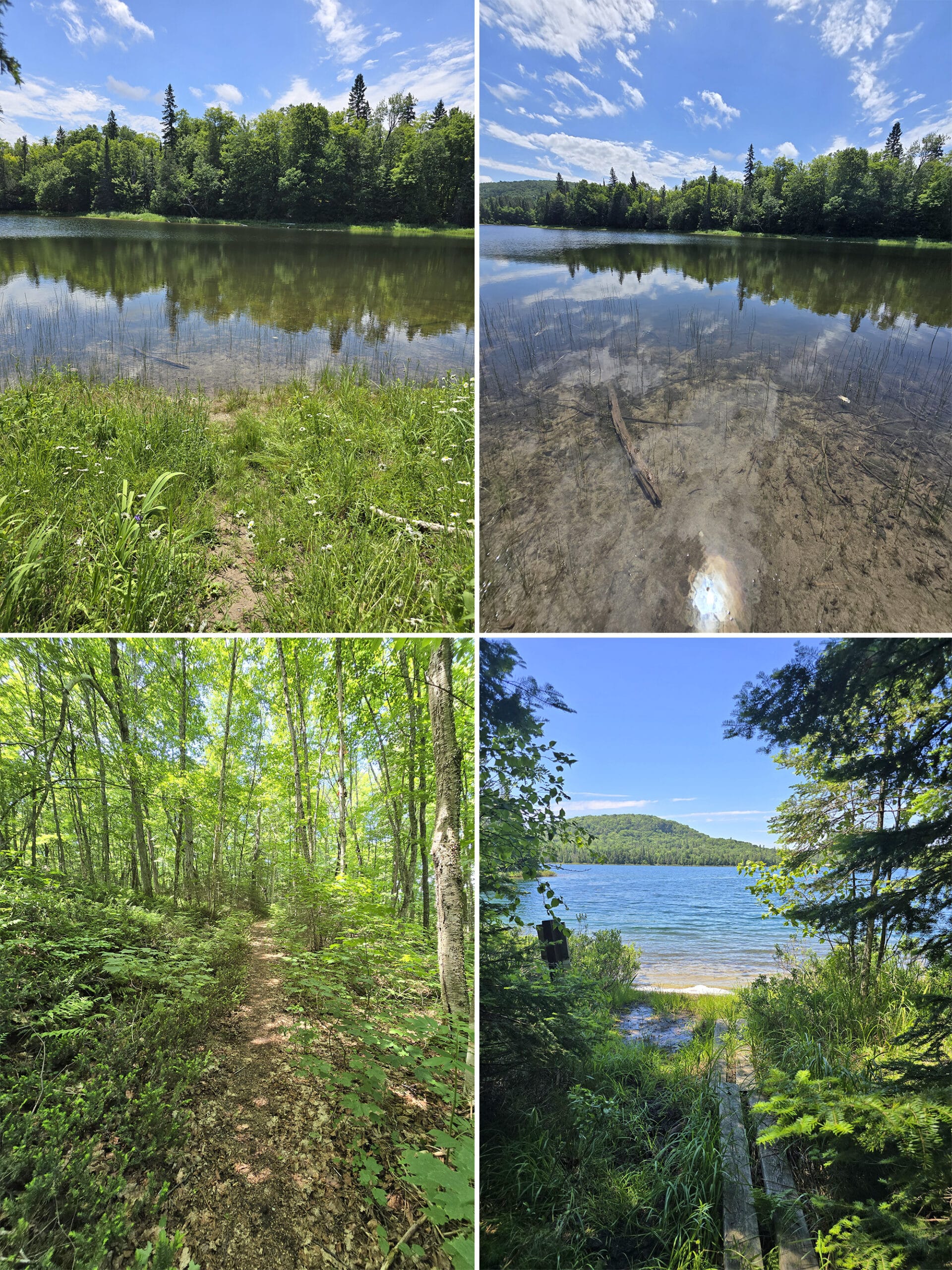4 part image showing various views along the Crescent Lake Trail in Lake Superior Provincial Park.