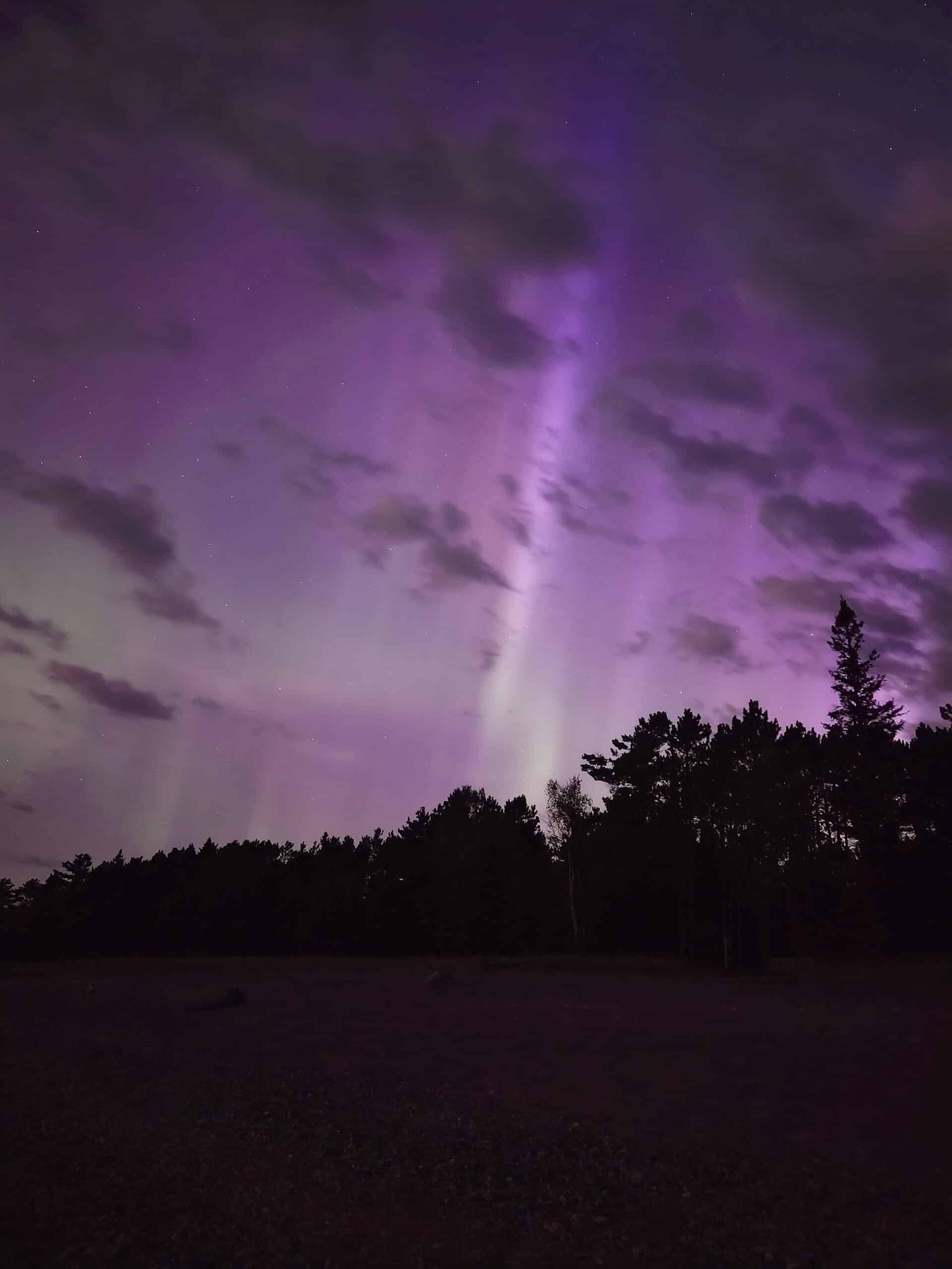 A bright purple aurora borealis display over a forest.