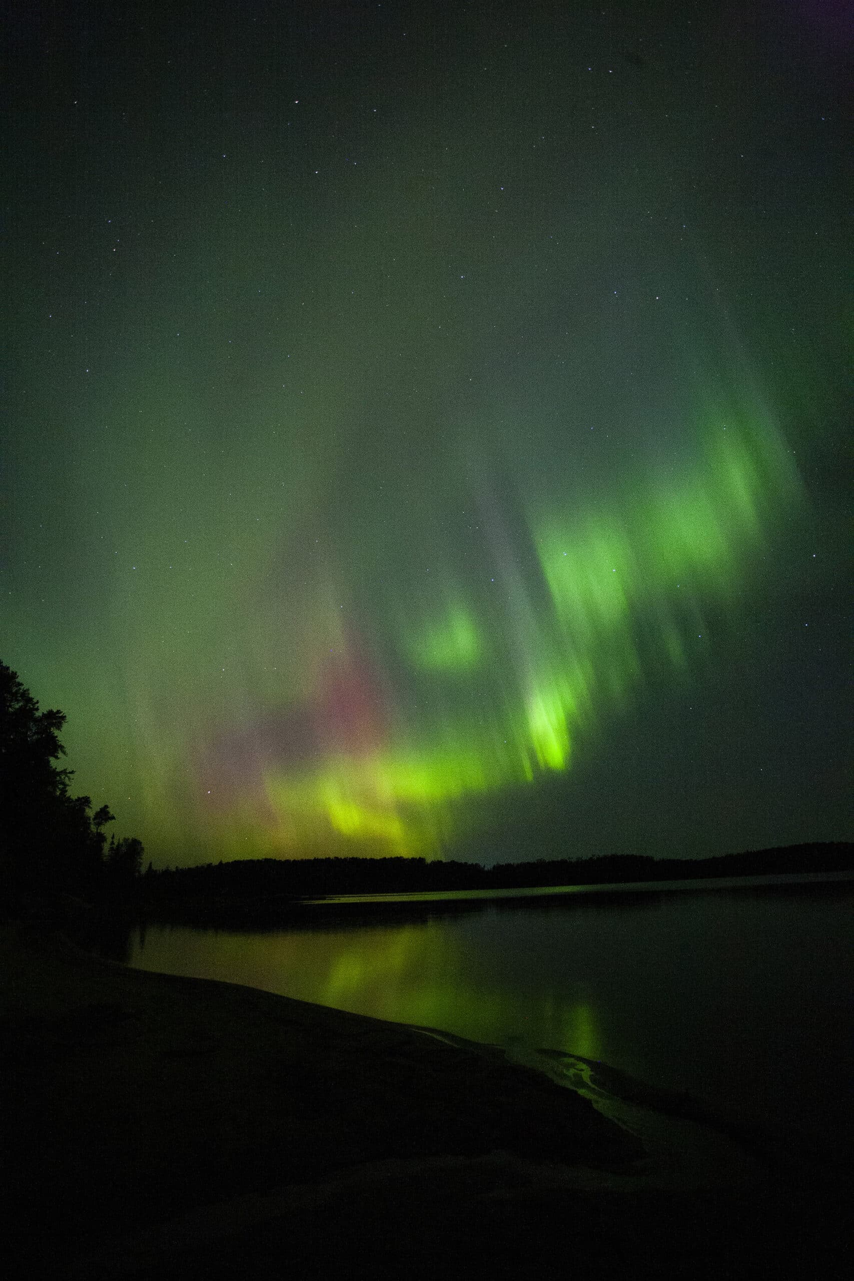 A bright purple and green northern lights display over a lake.