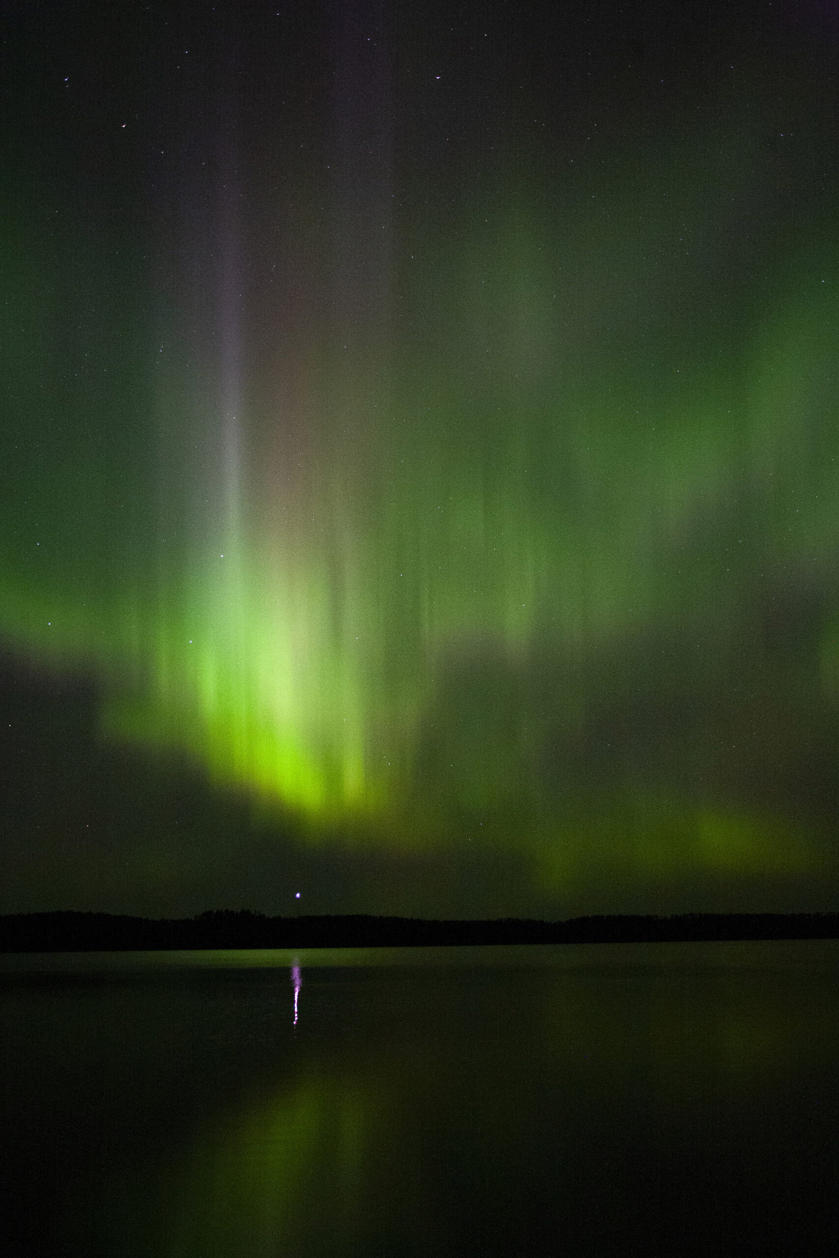 Bright green aurora borealis display at quetico Provincial Park.