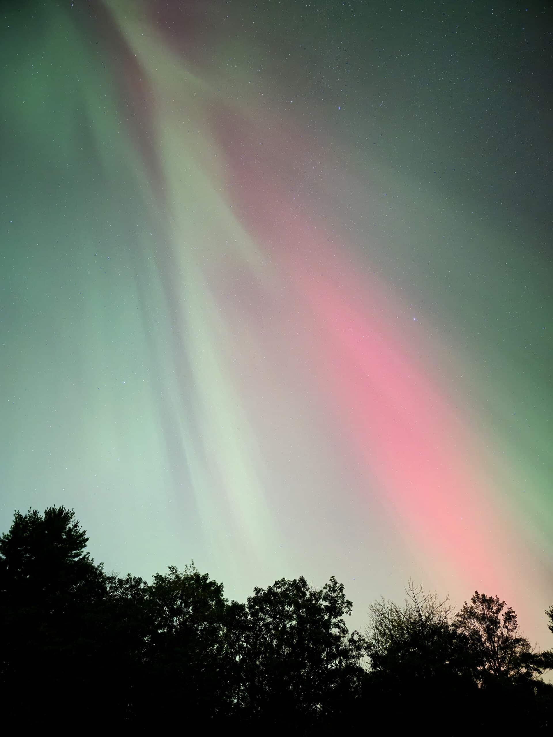 A pink and green aurora borealis show over trees at Killbear Provincial Park.