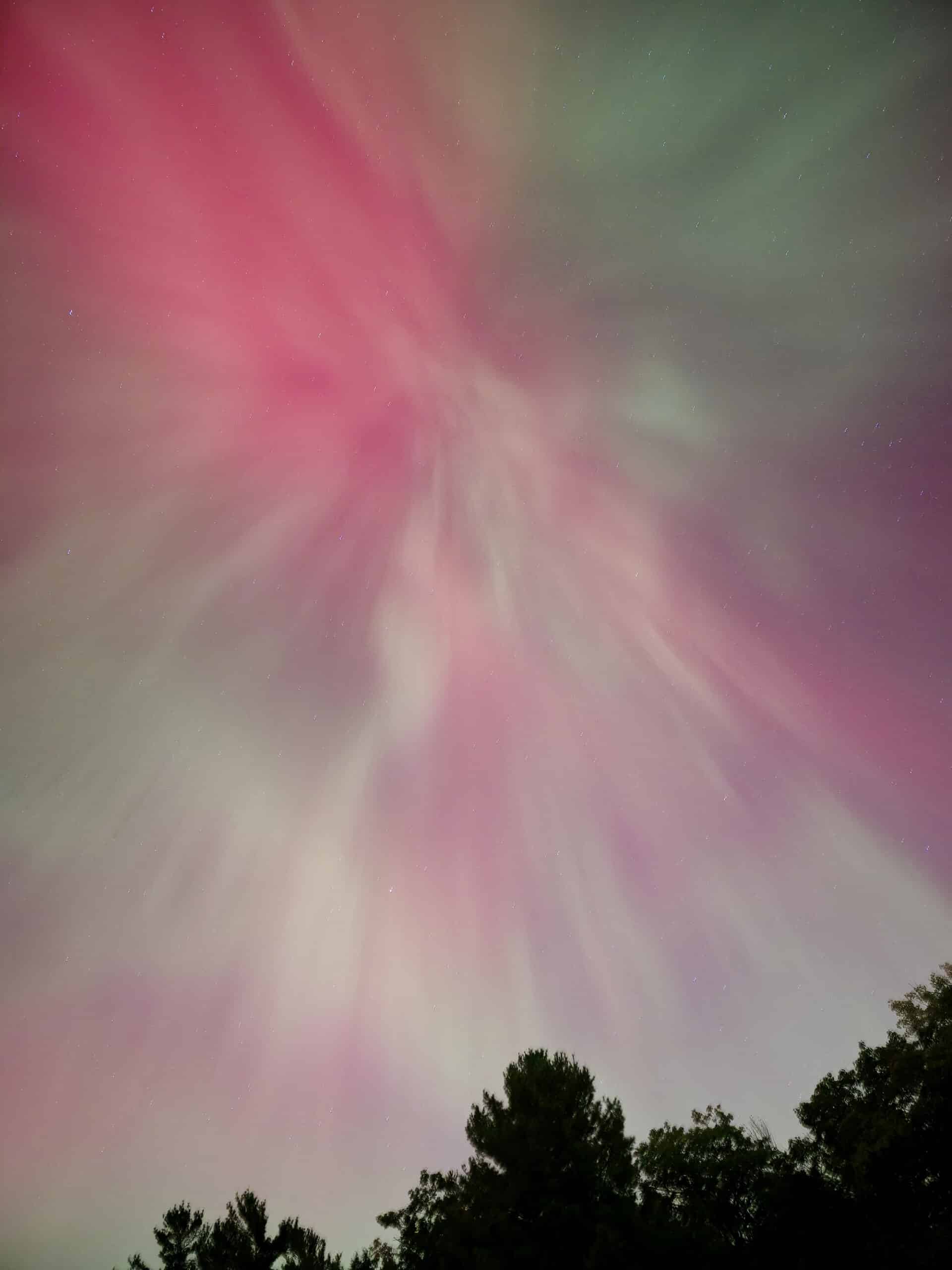 A pink and green aurora borealis show over trees at Killbear Provincial Park.