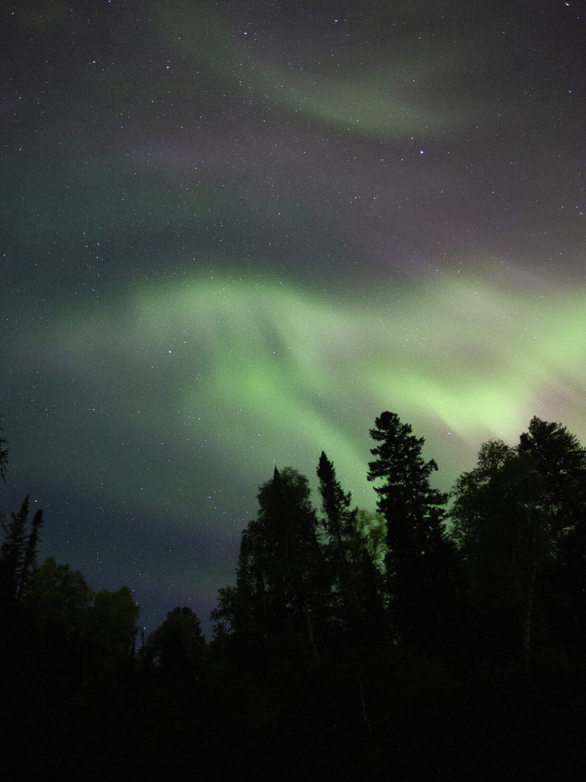 A bright green and purple northern lights display in Ontario.