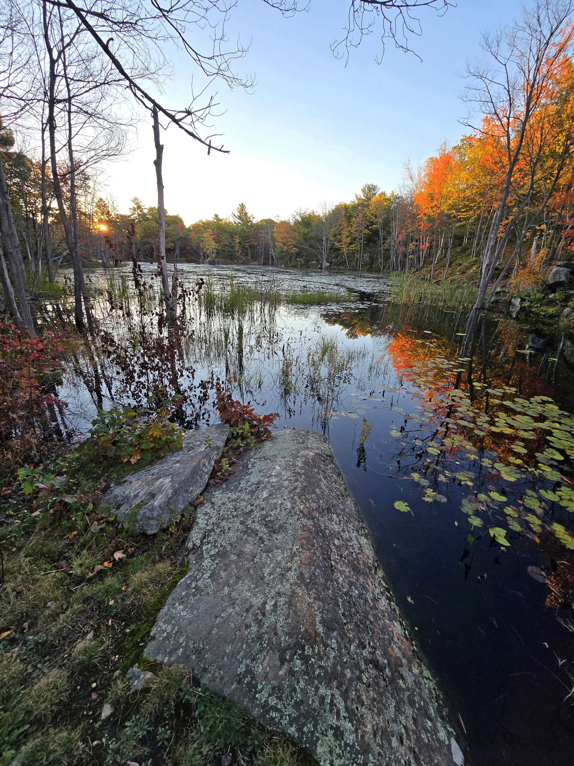 A marshy area at Six Mile Lake Provincial Park.