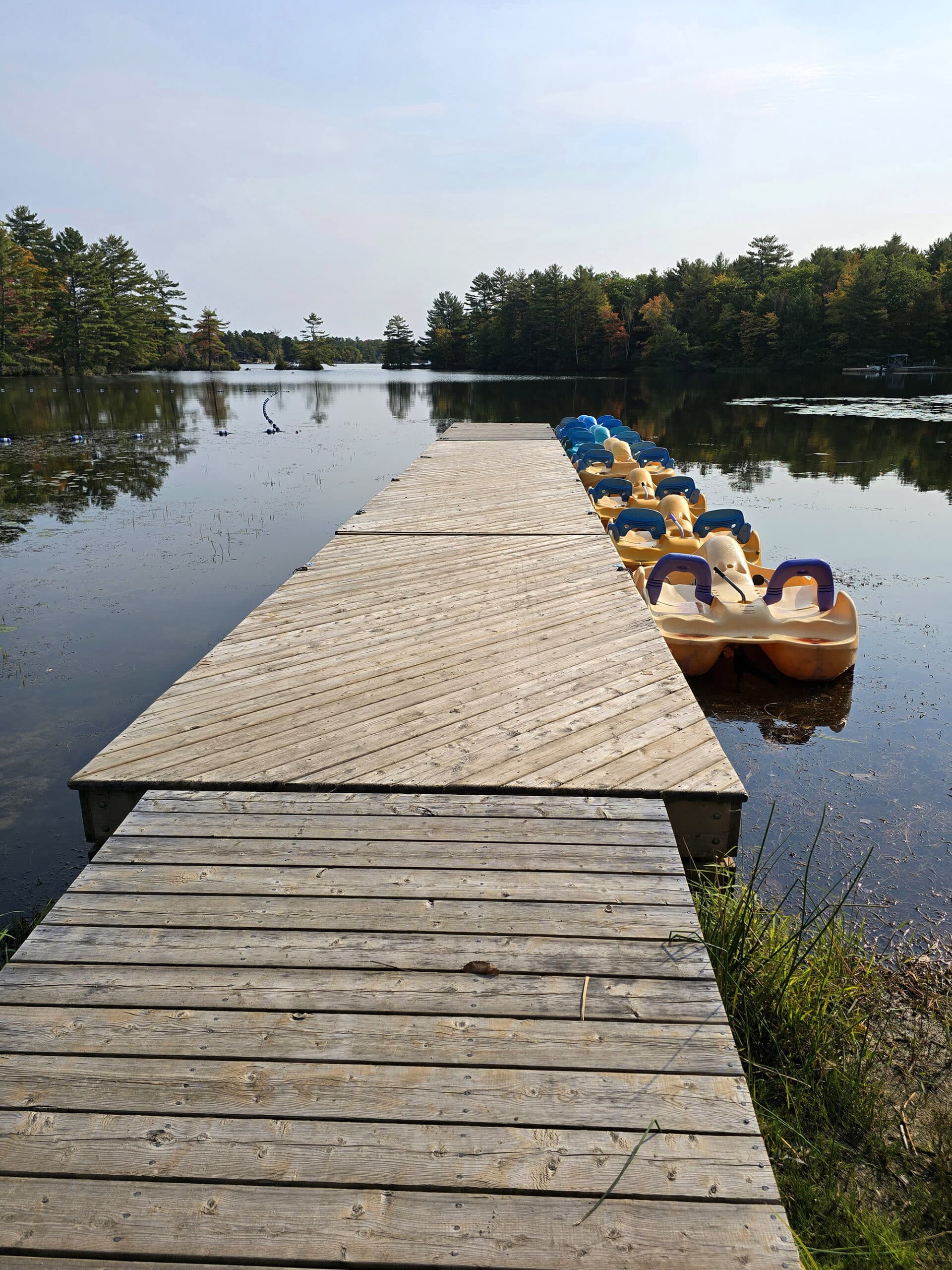 A long boat dock on six mile lake. There are pedal boats along one side of it.