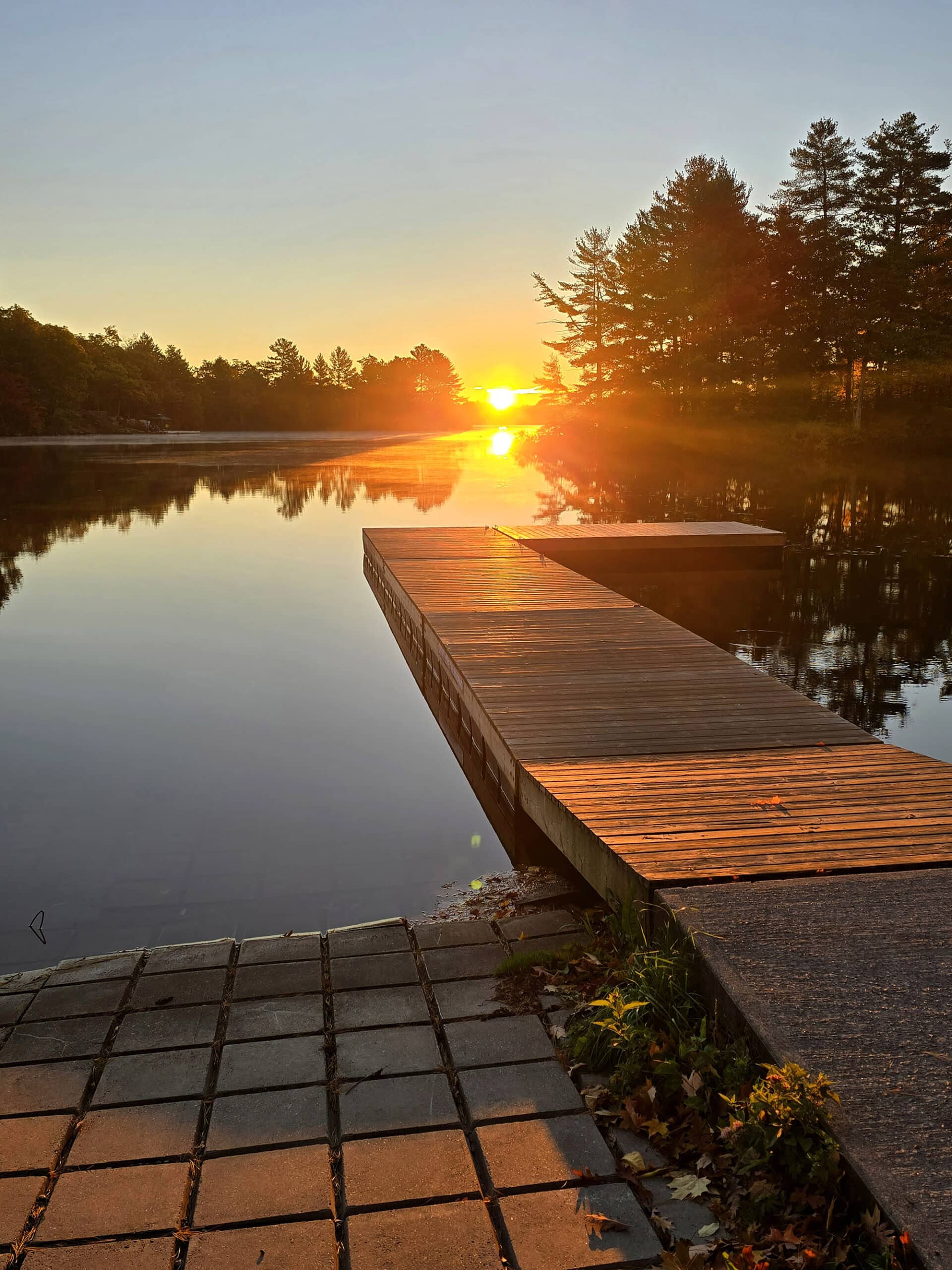 A boat dock on Six Mile Lake at sunrise.