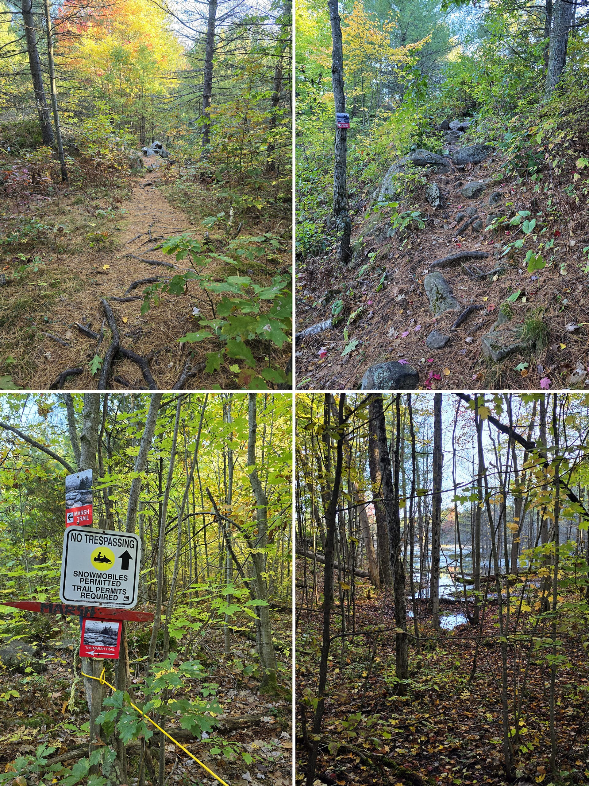 4 part image showing various views of the Marsh Trail at Six Mile Lake Provincial Park.