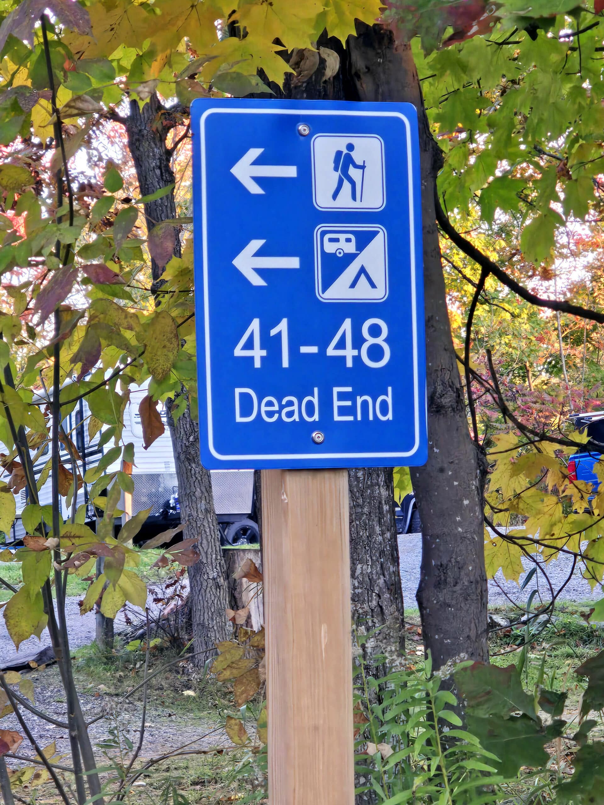 A blue directional road sign pointing towards hiking and campsites, indicating a dead end.