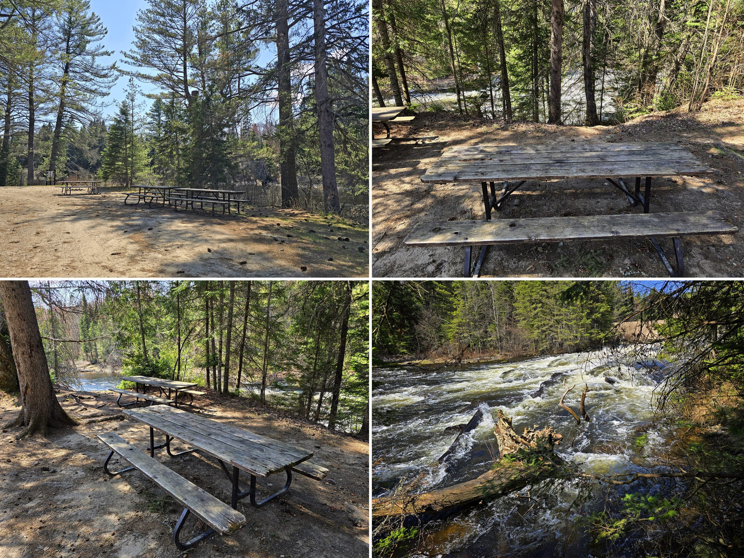 4 part image showing various views at Algonquin Provincial Parks Tea Lake Dam picnic area.
