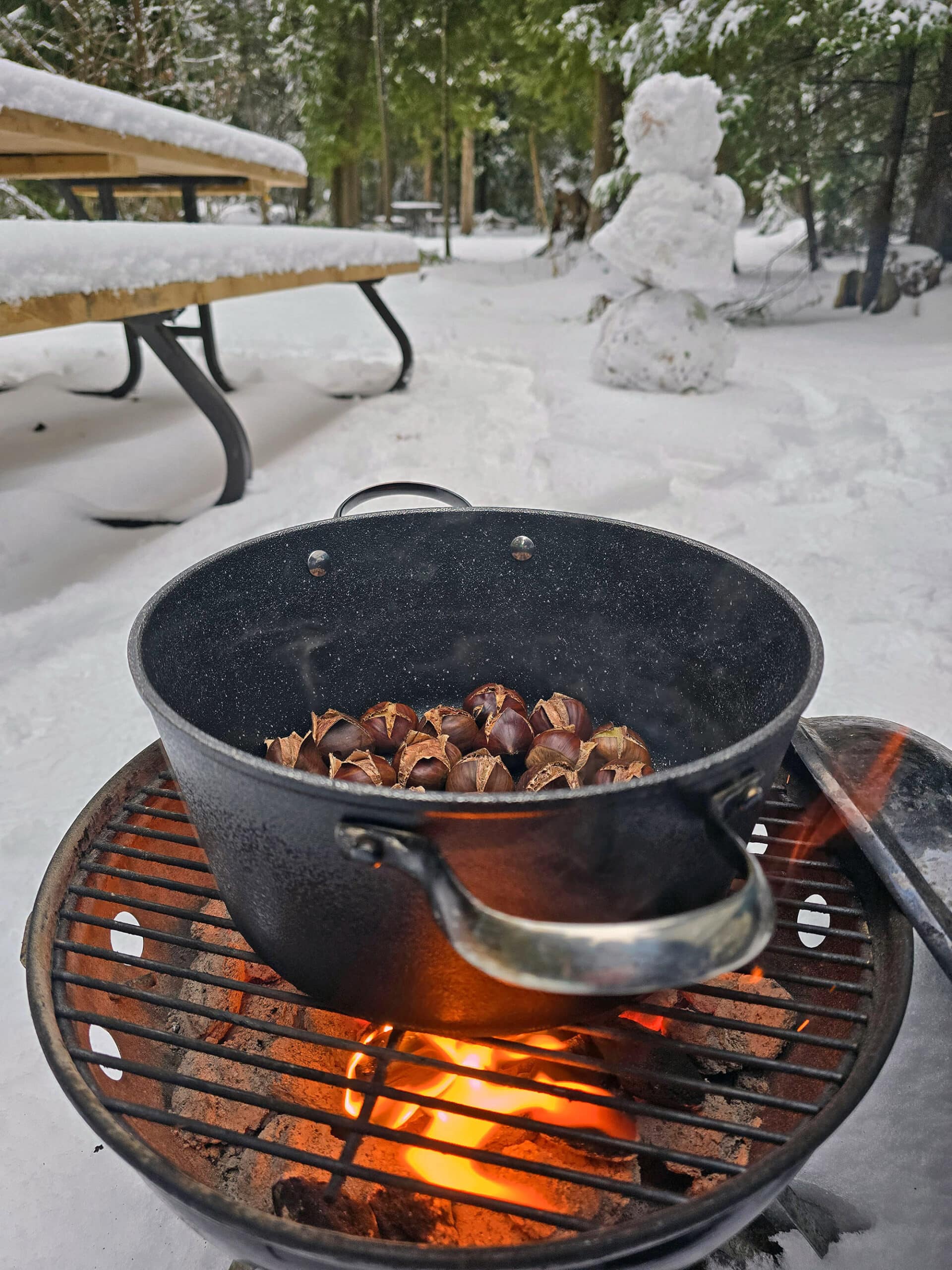 A pot of chestnuts roasting on an open fire.