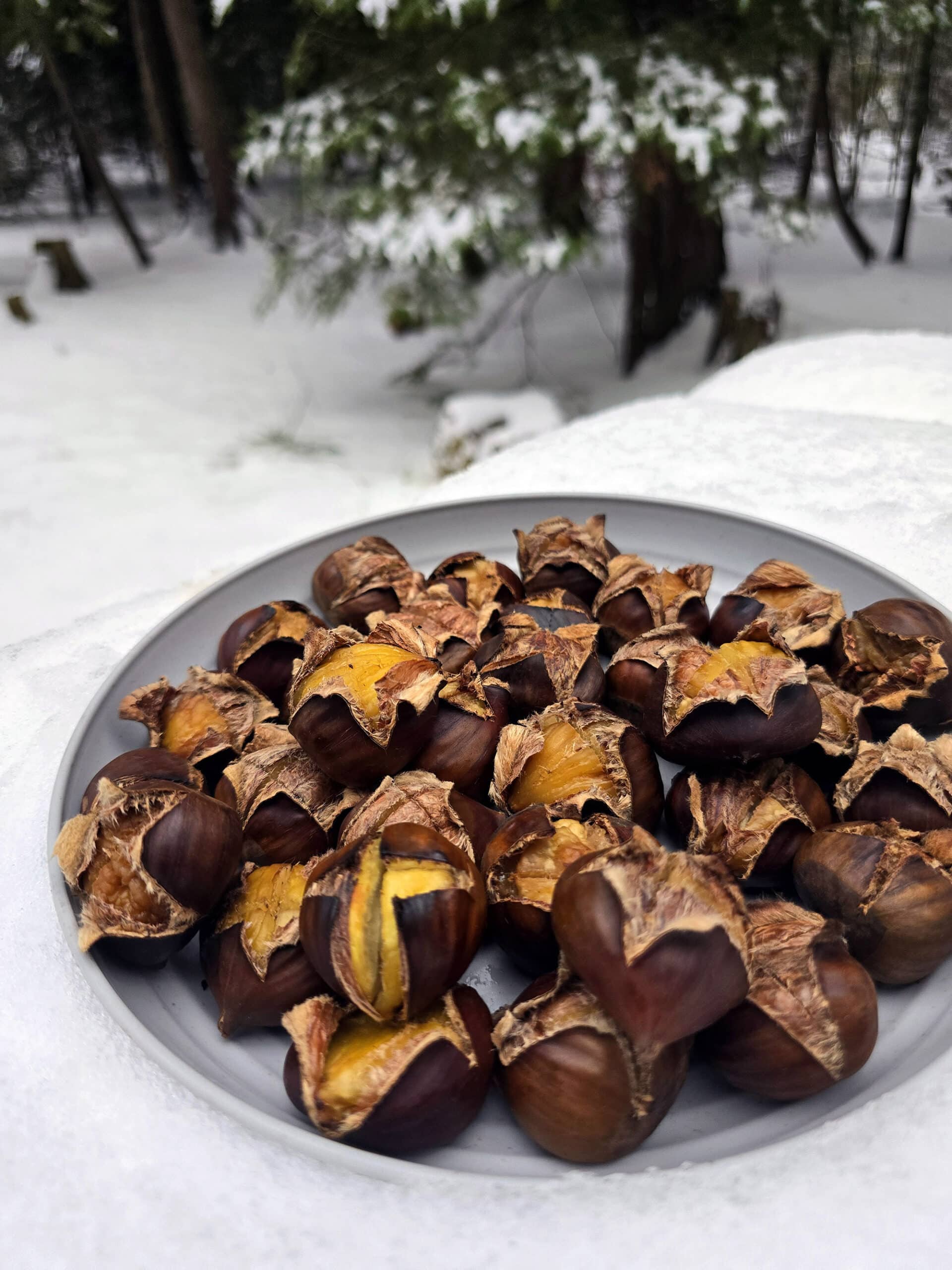 A plate of campfire roasted chestnuts on a snowy picnic table.