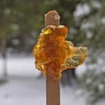 A popsicle stick with maple taffy on it.