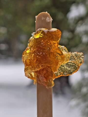 A popsicle stick with maple taffy on it.