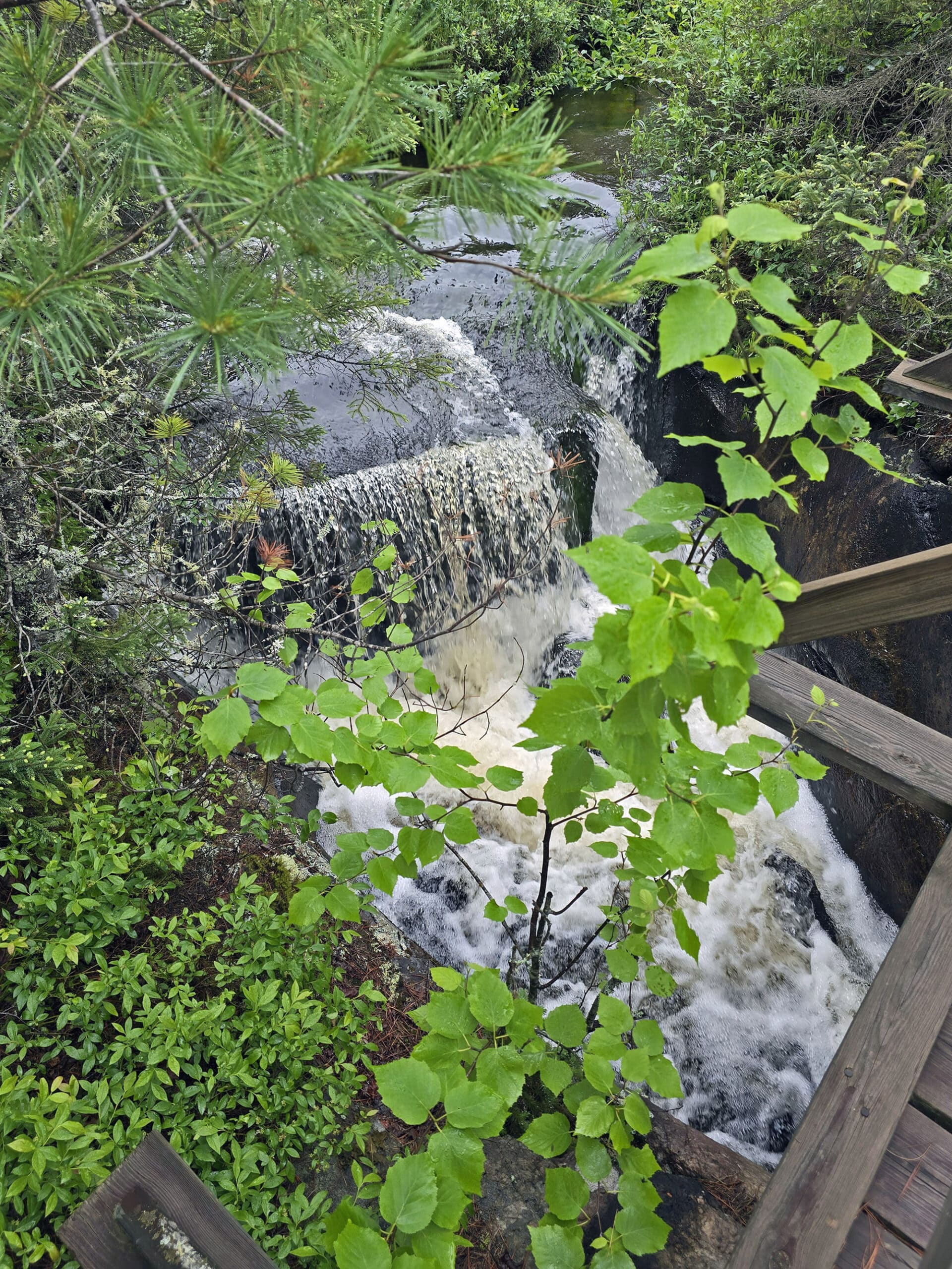 A small waterfall next to a bridge at Potholes Provincial Park.