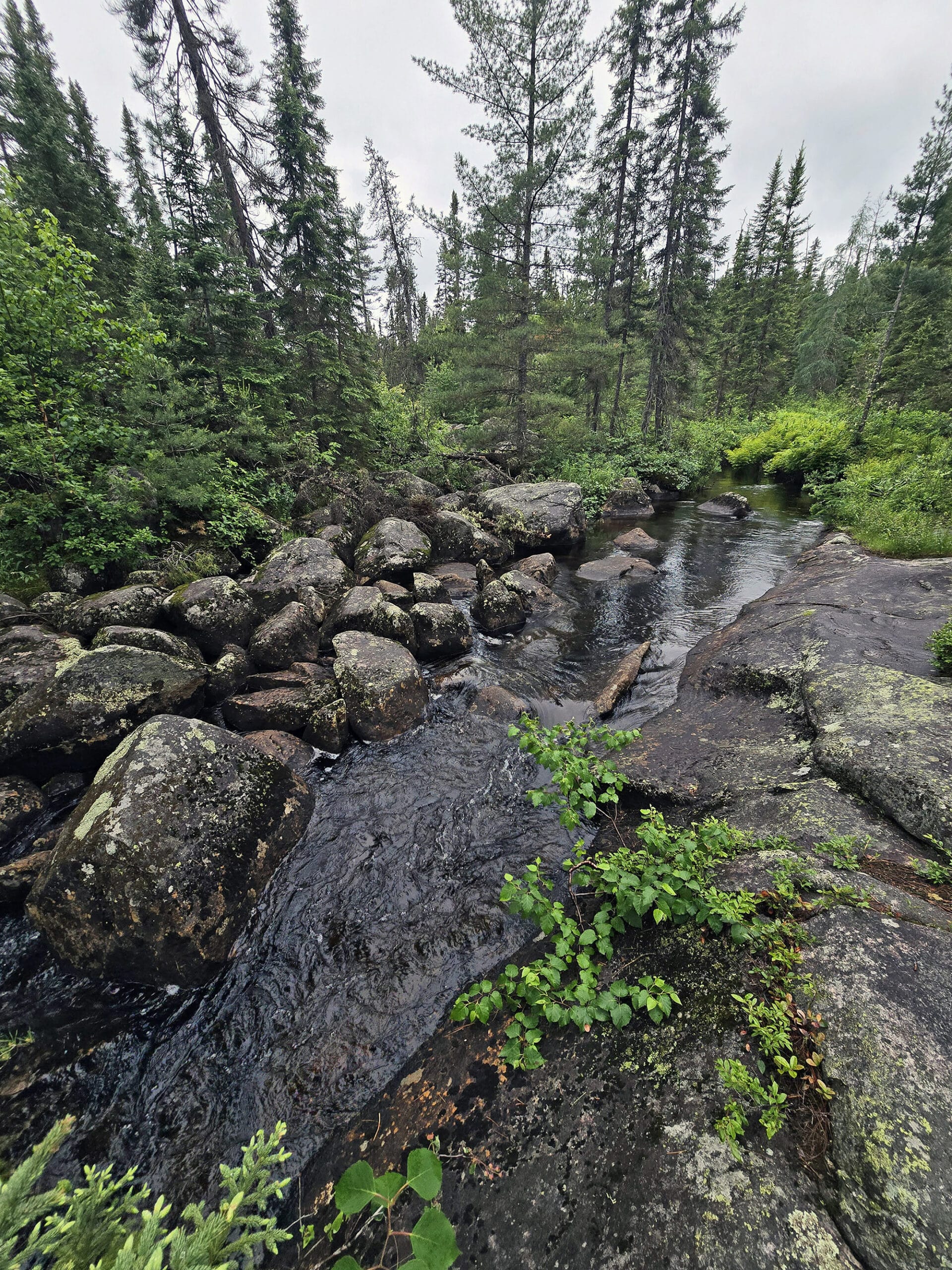 Boulders lining a stream at Potholes Provincial Park.