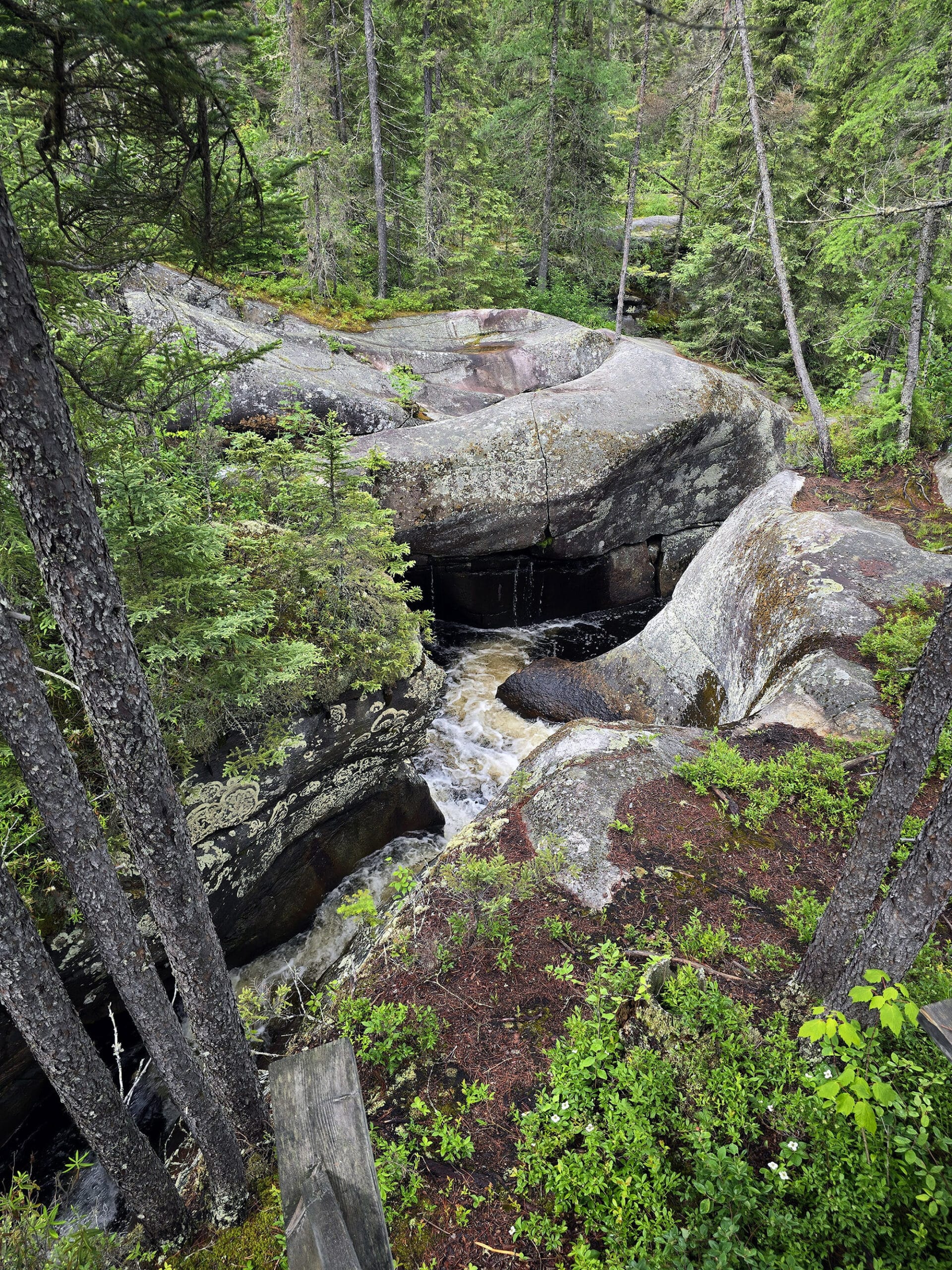 A glacial pothole at Potholes Provincial Park.