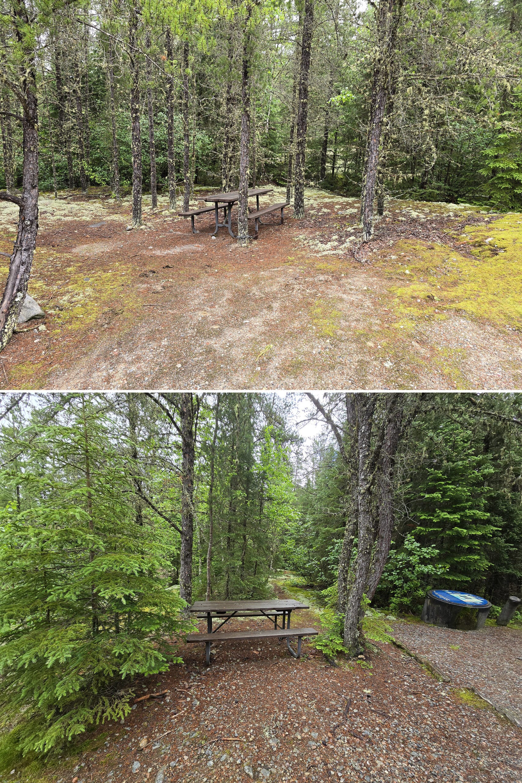 2 part image showing picnic tables in a boreal forest.