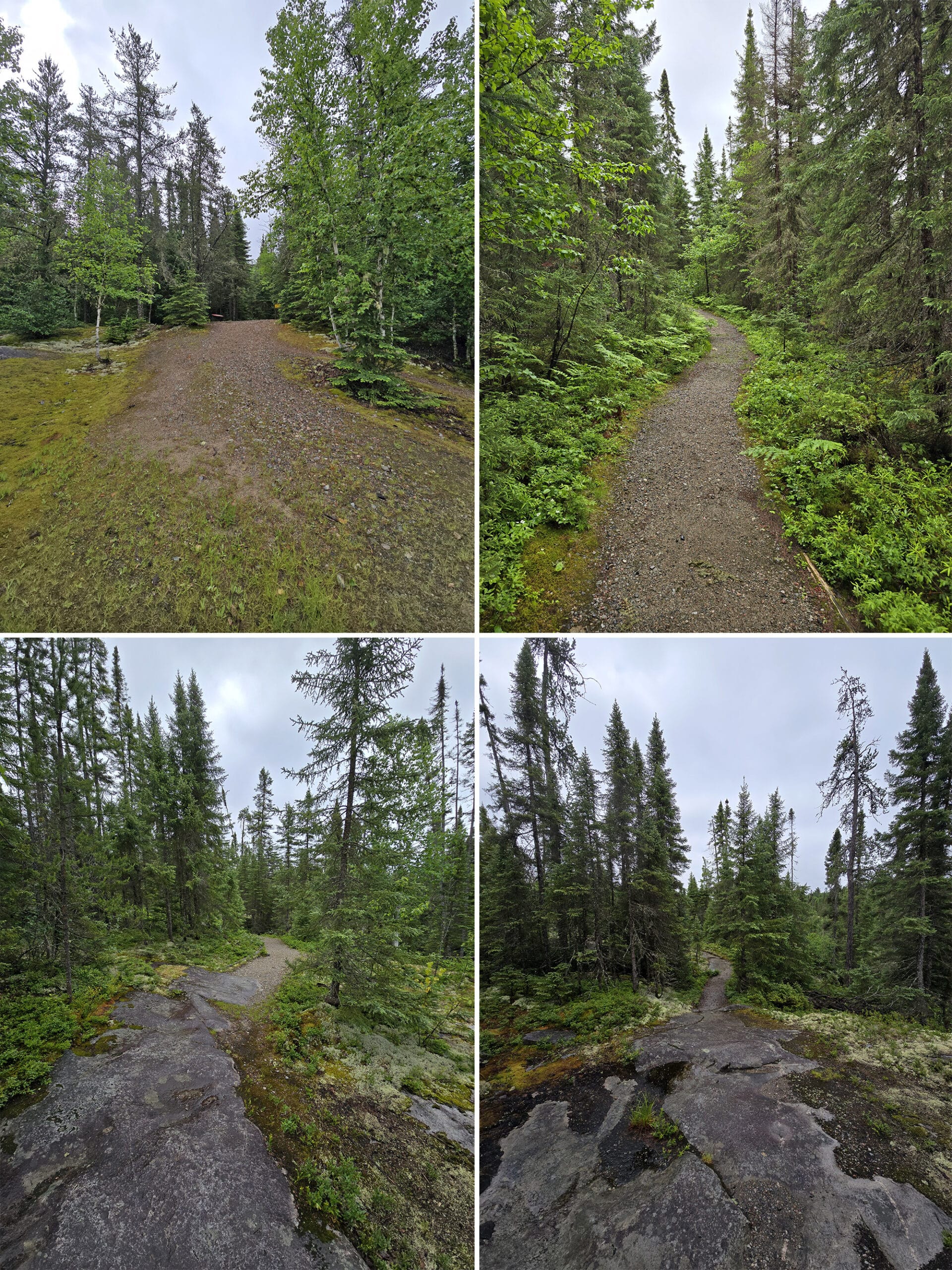 4 part image showing various views along the Potholes Trail at Potholes Provincial Park.