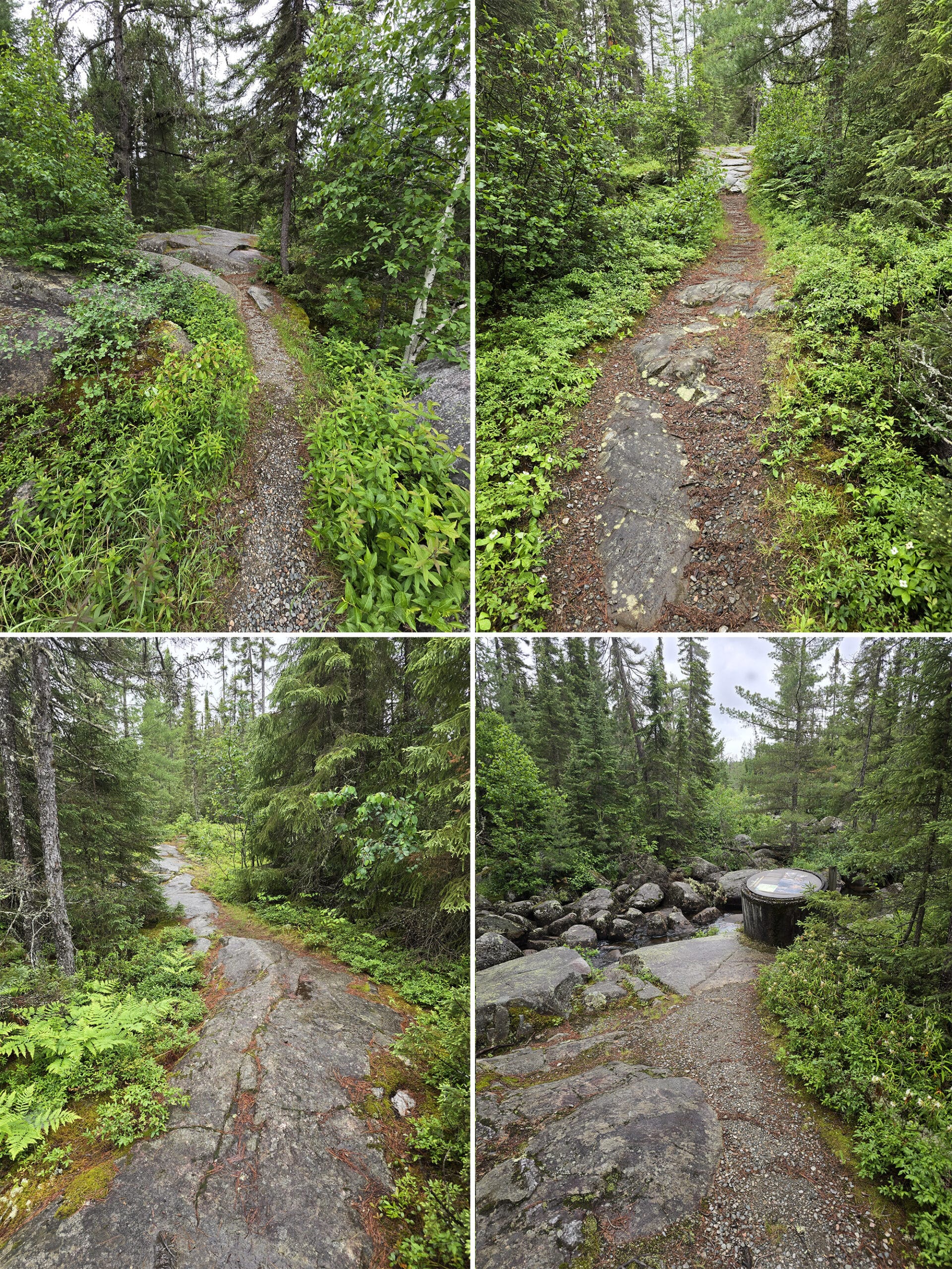 4 part image showing various views along the Potholes Trail at Potholes Provincial Park.