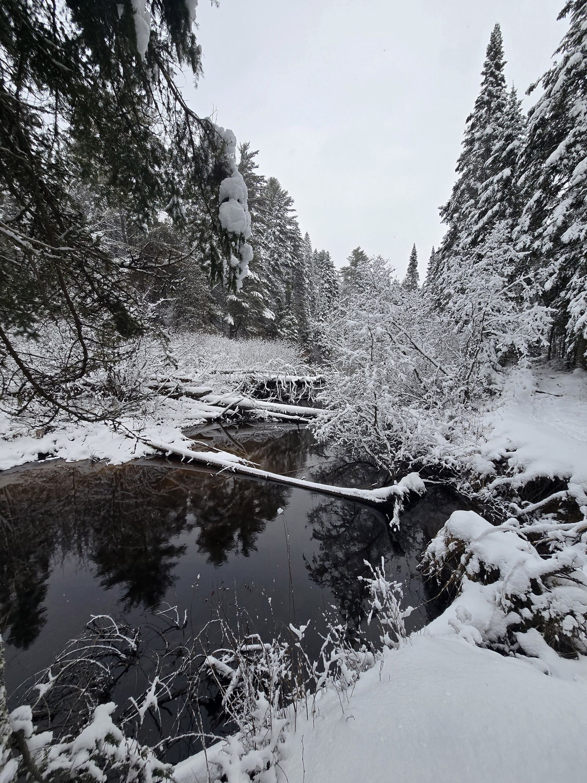 A mirror like river surrounded by snow and frost covered trees.