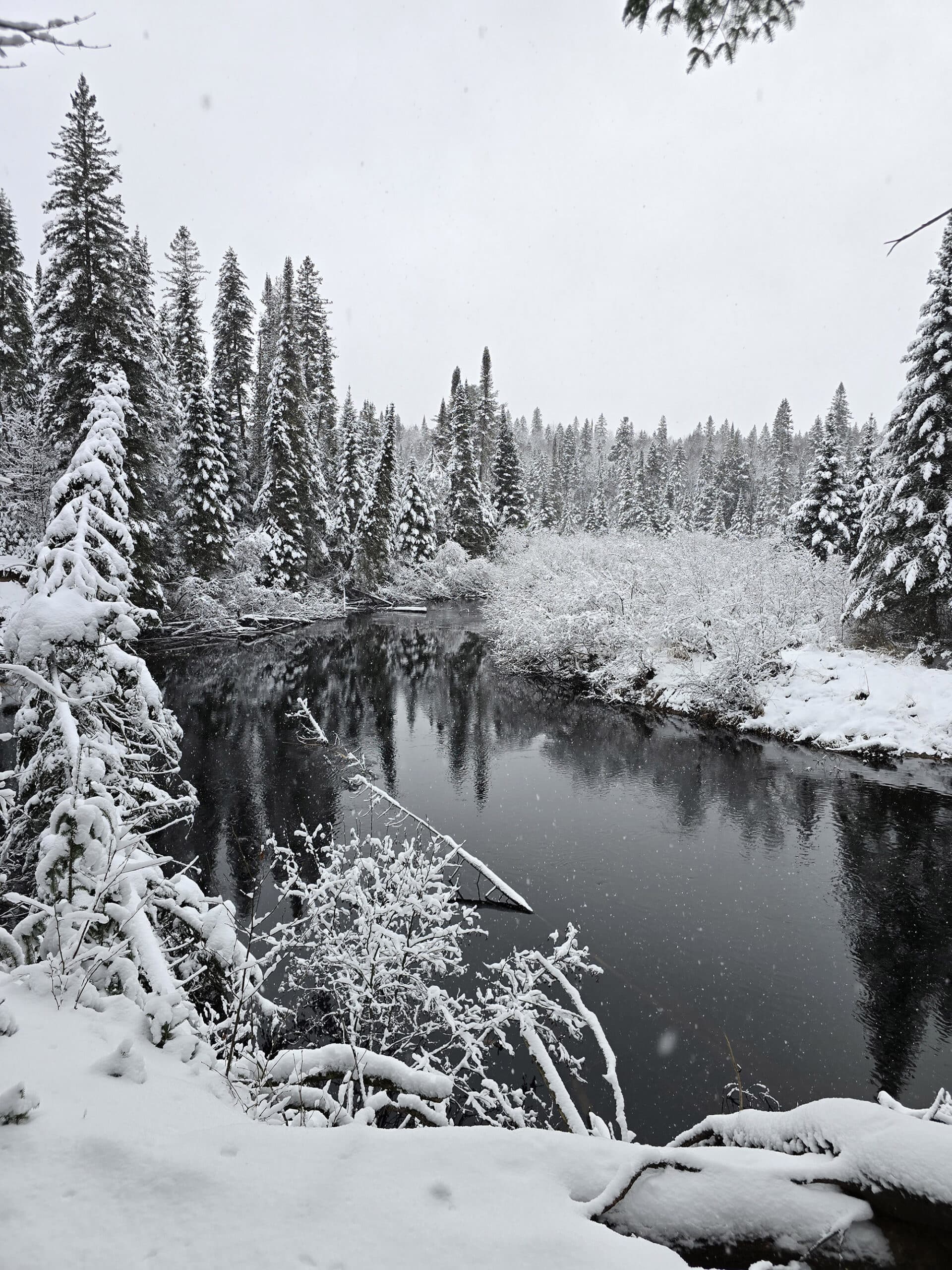 A mirror like river surrounded by snow and frost covered trees.