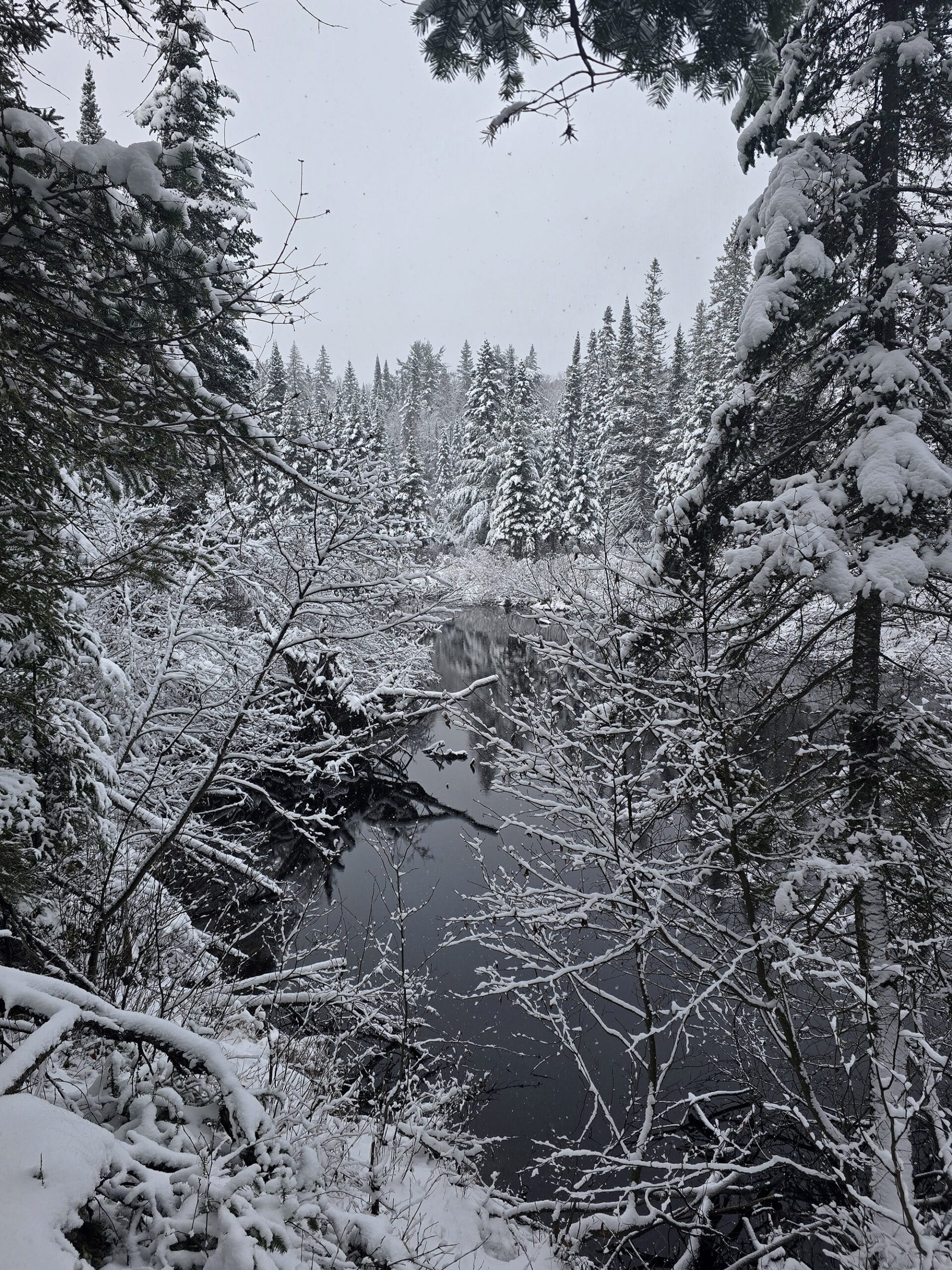 A mirror like river surrounded by snow and frost covered trees.