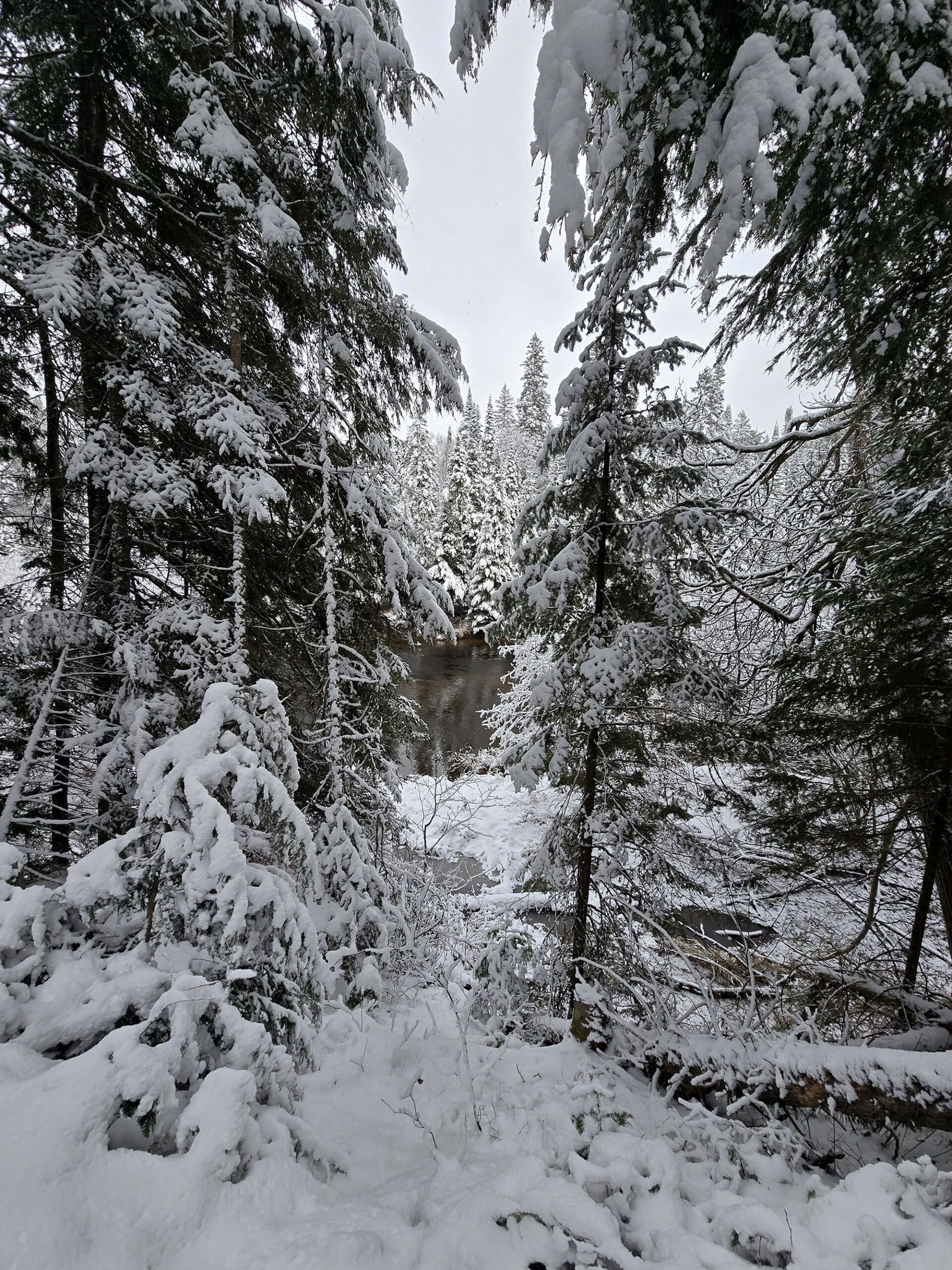 A mirror like river surrounded by snow and frost covered trees.