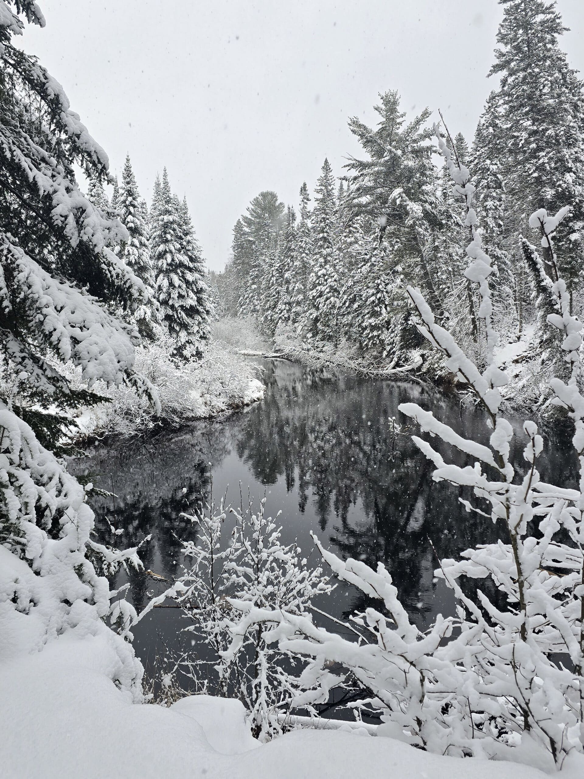 A mirror like river surrounded by snow and frost covered trees.