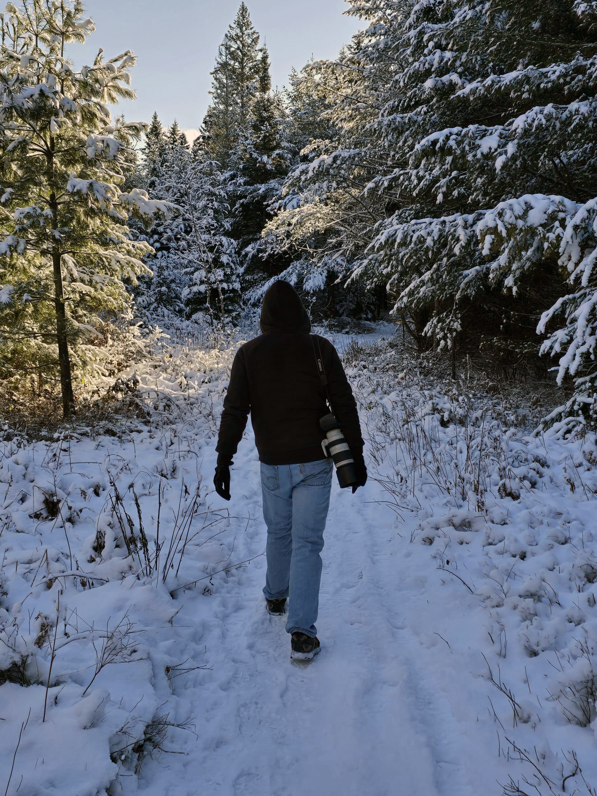 A man with a big camera, walking into a snowy forest.