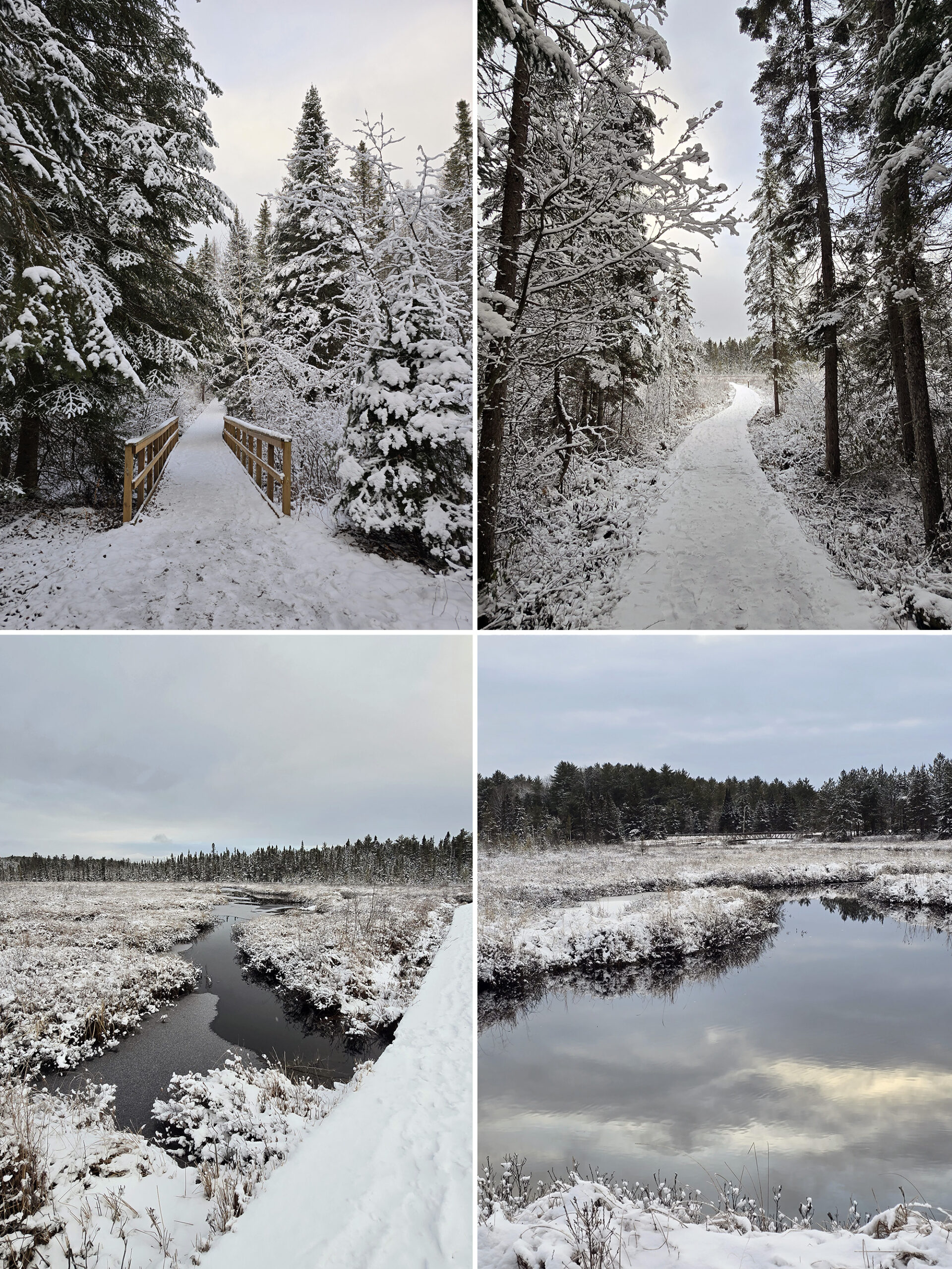 4 part image showing various views along a snow covered the Spruce Bog Boardwalk Trail at Algonquin Provincial Park, in winter.