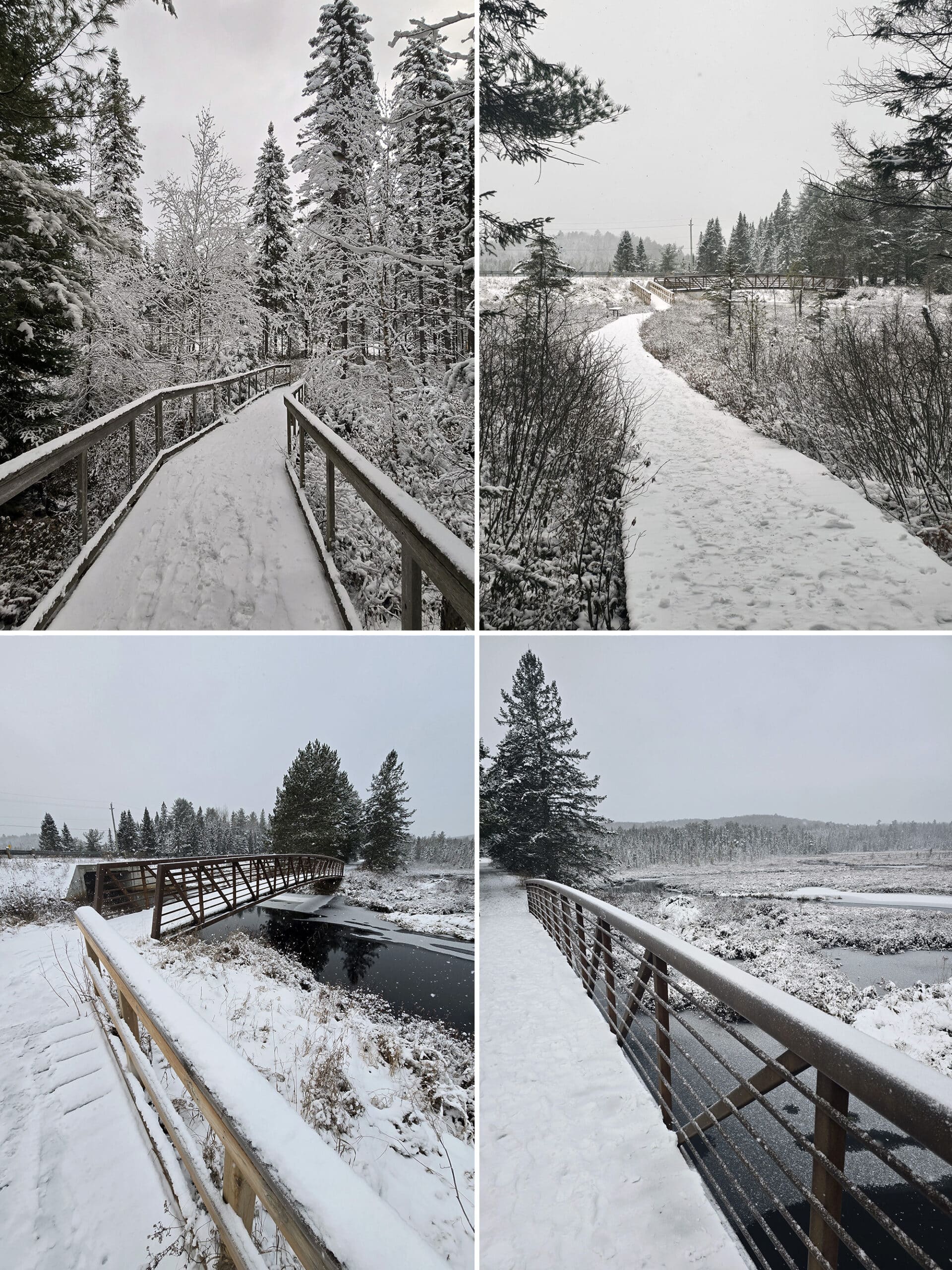 4 part image showing various views along a snow covered the Spruce Bog Boardwalk Trail at Algonquin Provincial Park, in winter.