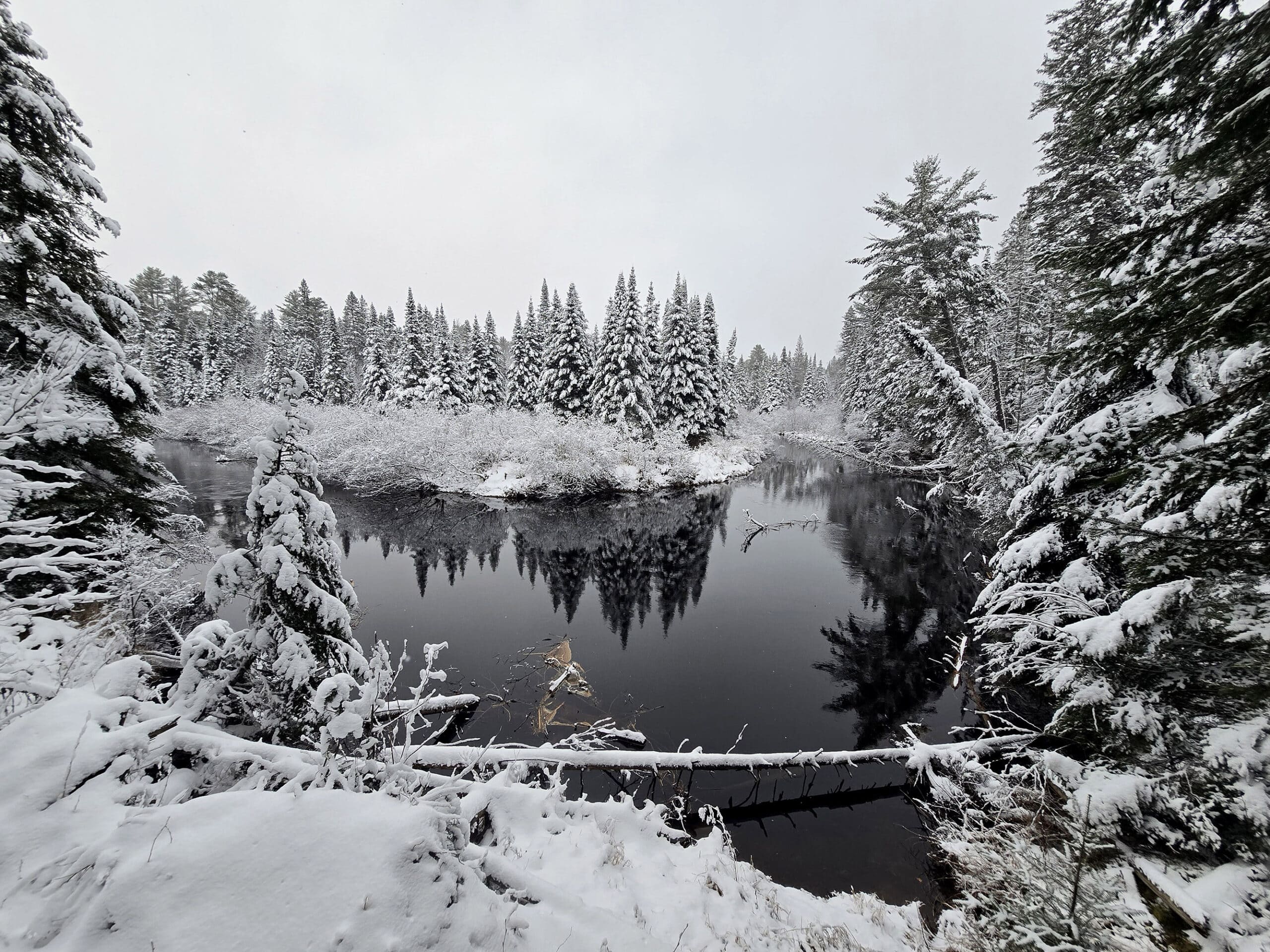 A mirror like river surrounded by snow covered trees.