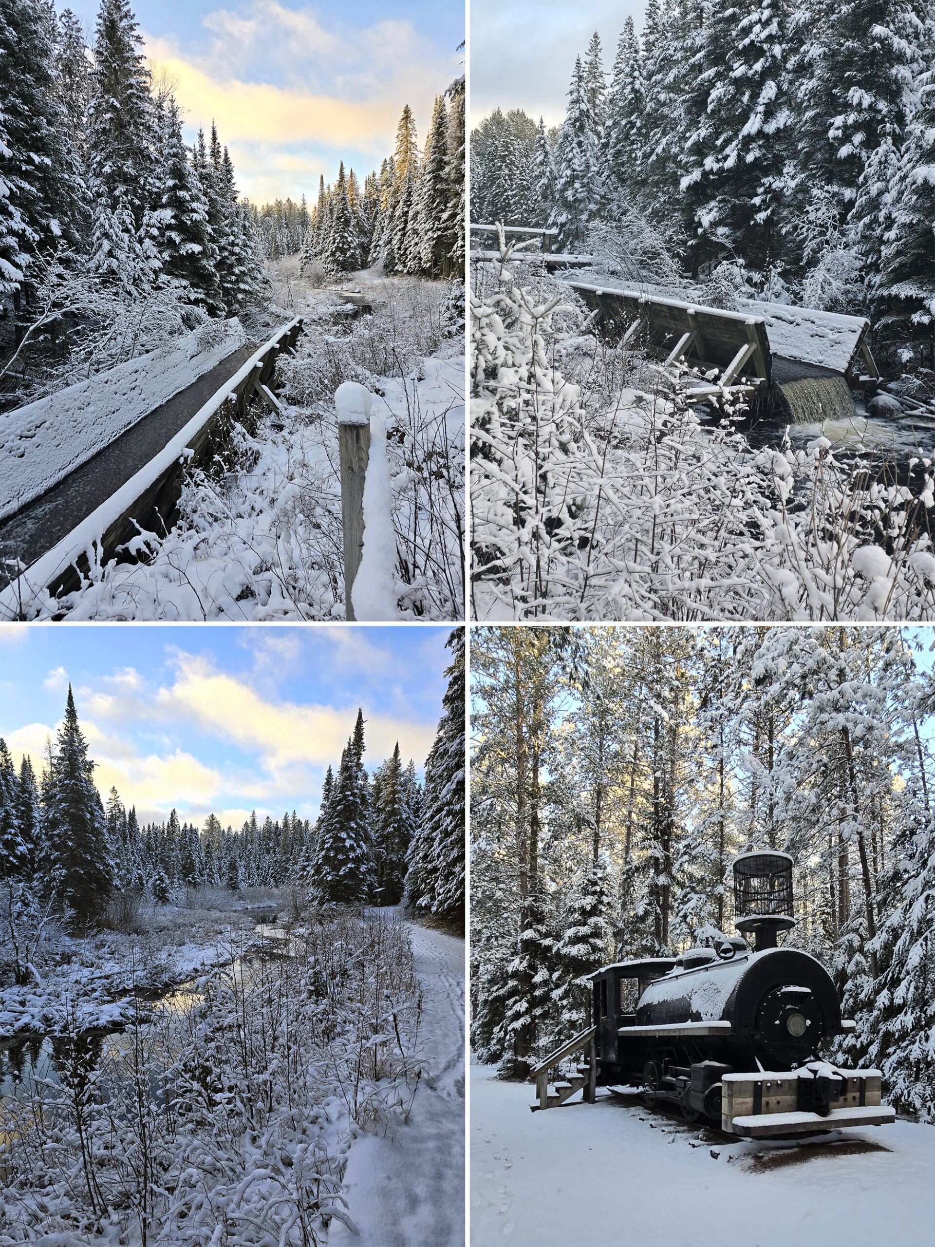 4 part image showing various views along a snow covered the Logging Museum Trail at Algonquin Provincial Park, in winter.