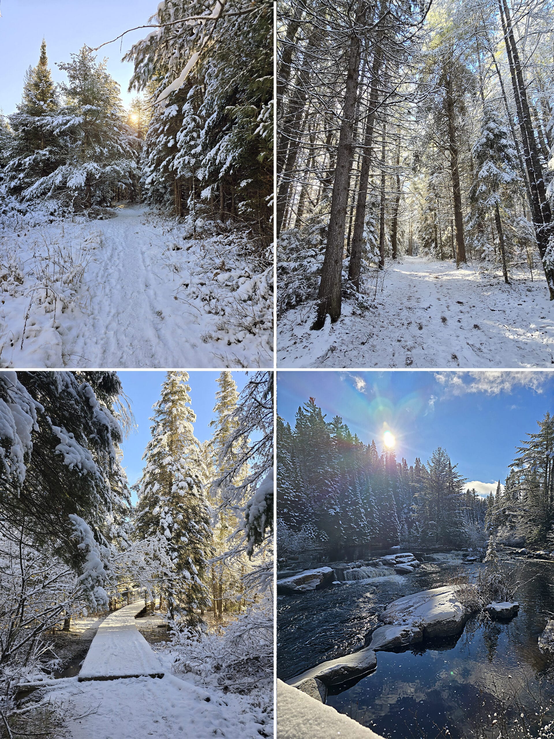 4 part image showing various views along a snow covered the Provoking Falls Trail at Algonquin Provincial Park, in winter.