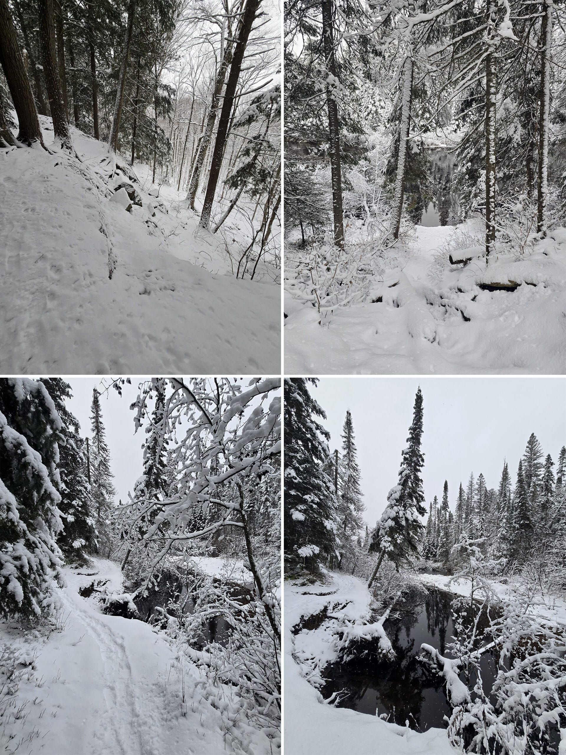 4 part image showing various views along a snow covered the Whiskey Rapids Trail at Algonquin Provincial Park, in winter.