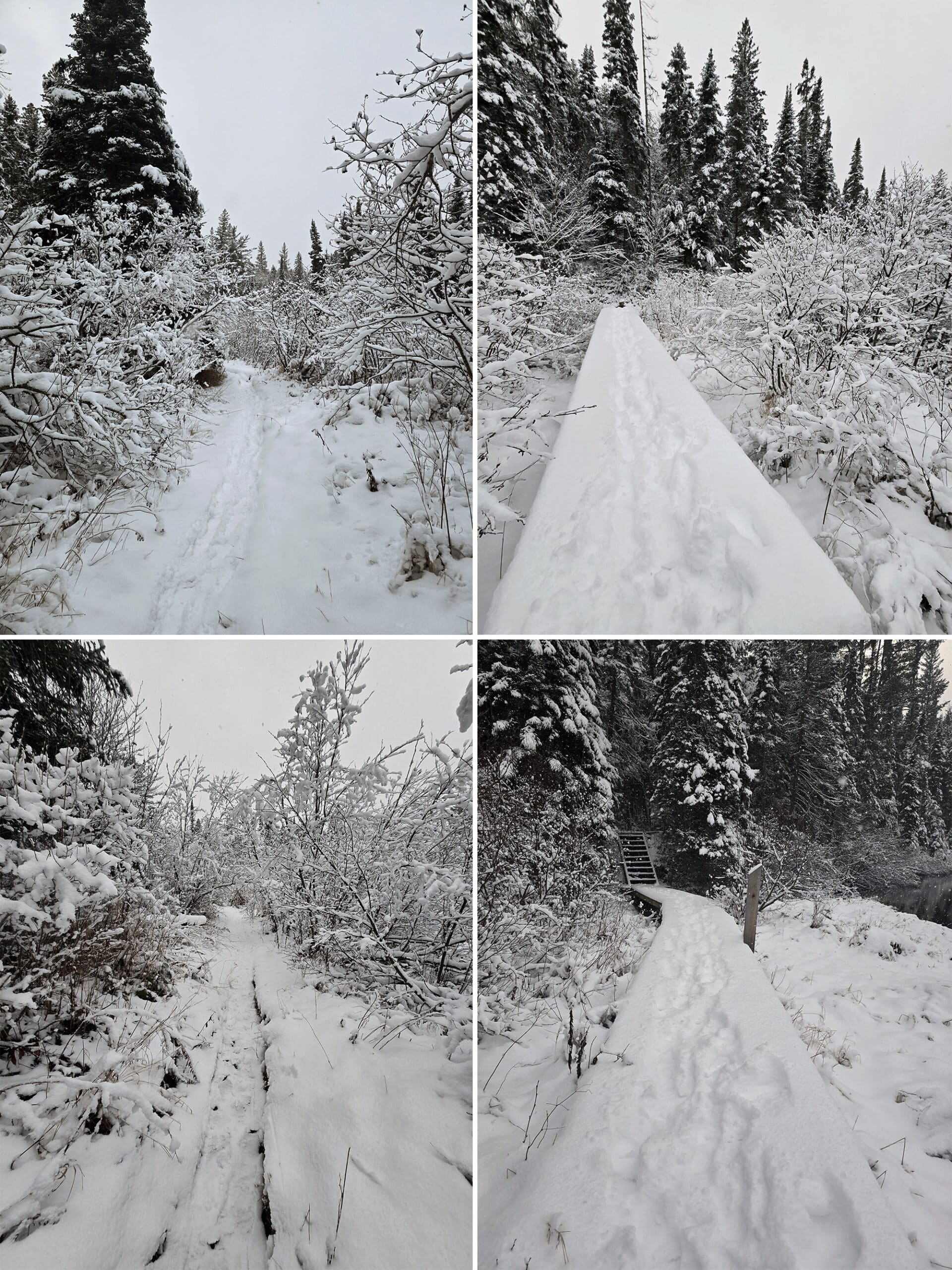 4 part image showing various views along a snow covered the Whiskey Rapids Trail at Algonquin Provincial Park, in winter.