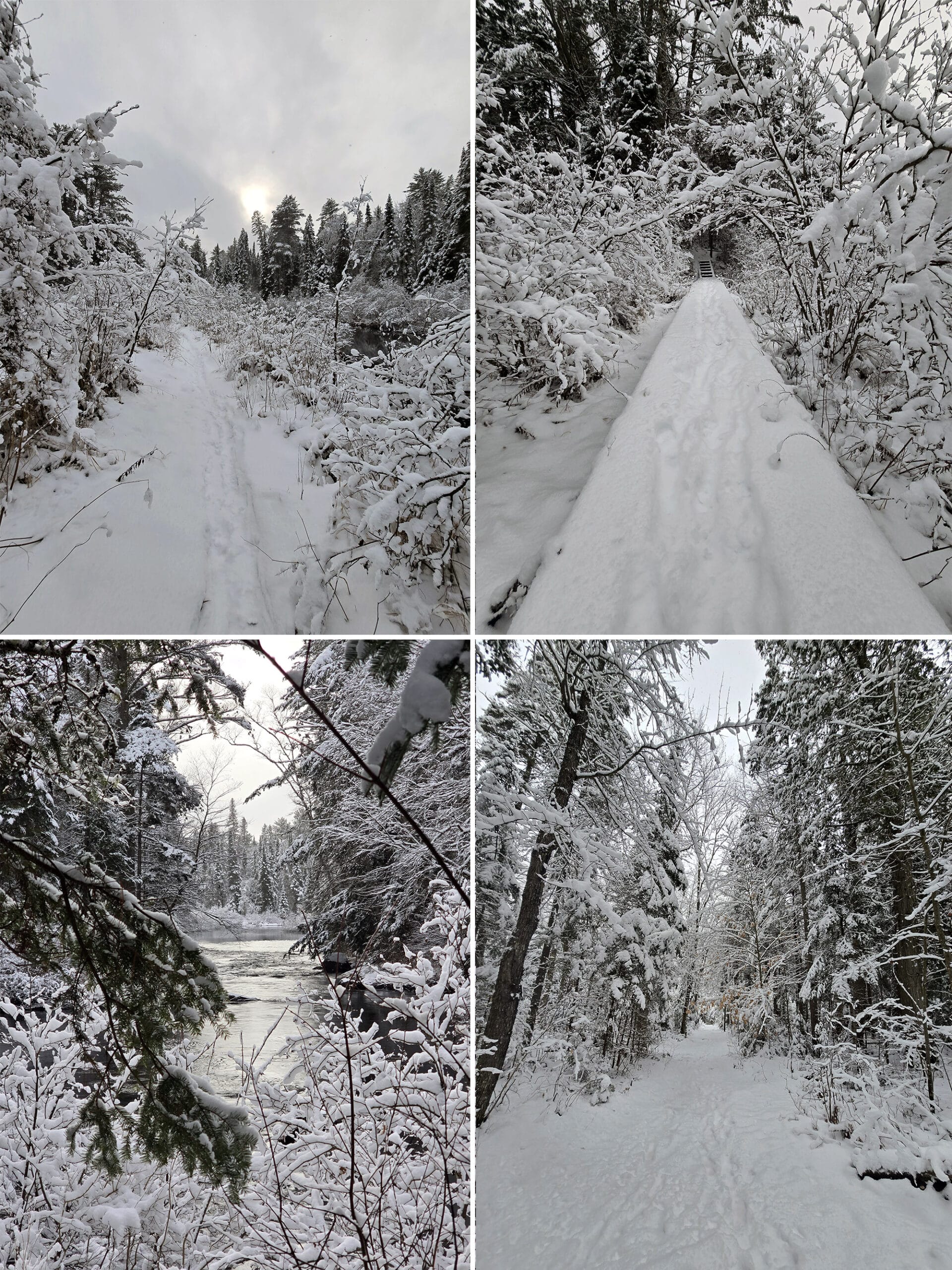 4 part image showing various views along a snow covered the Whiskey Rapids Trail at Algonquin Provincial Park, in winter.