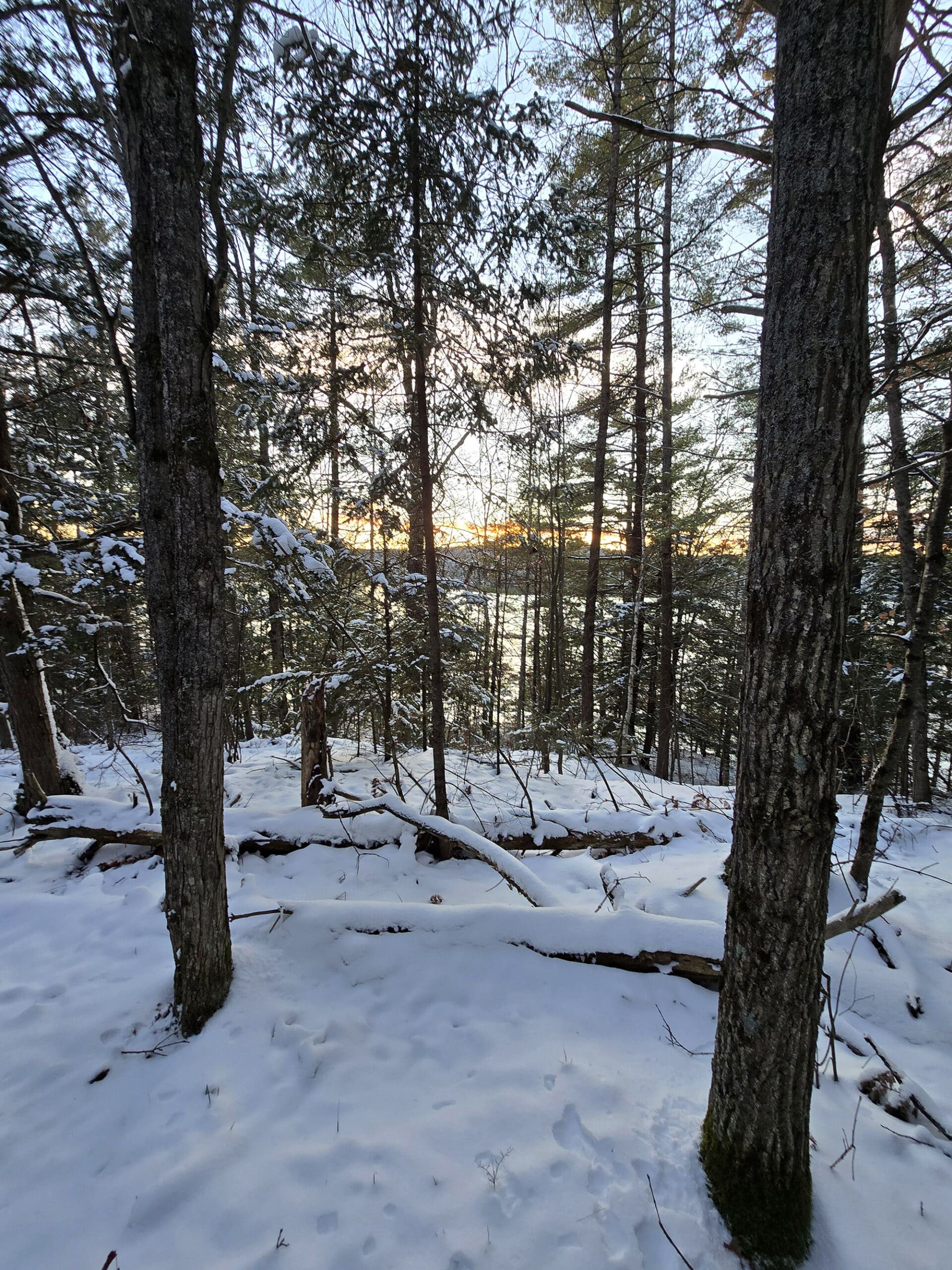 A trail in silent lake provincial park at sunset, with snow on the ground.