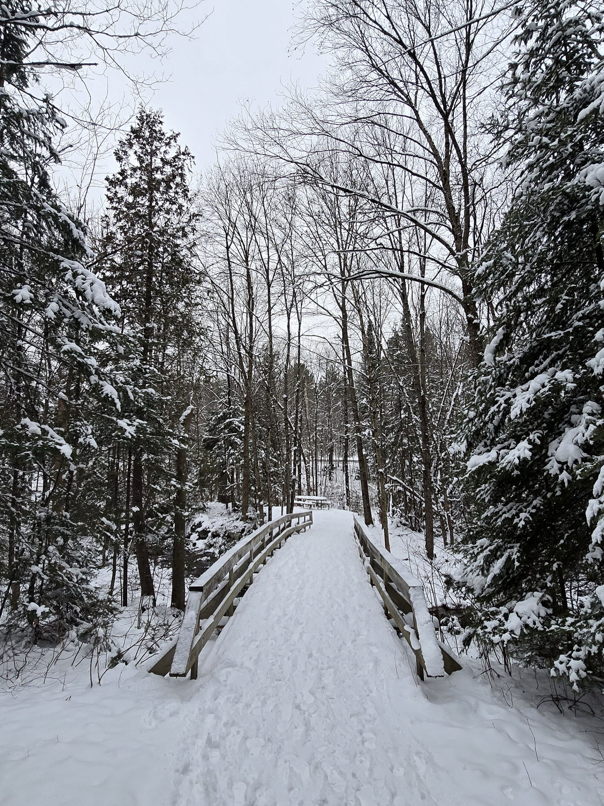 A ski trail over a wooden bridge.