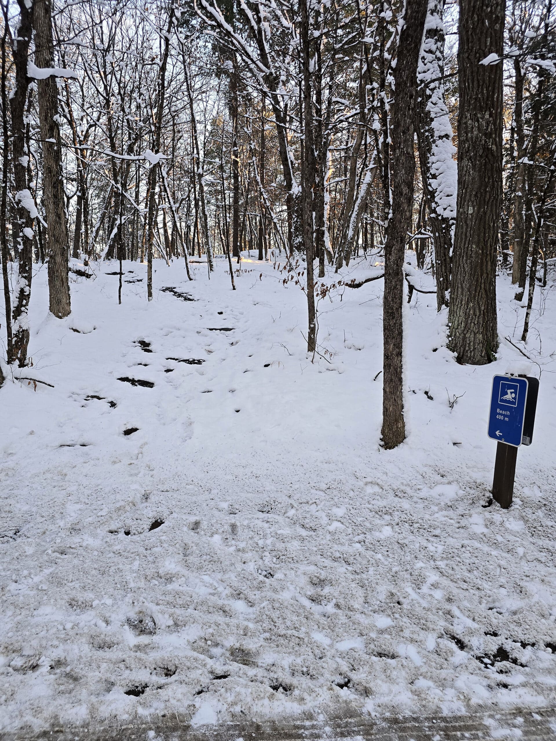 A wintery trail through the woods.