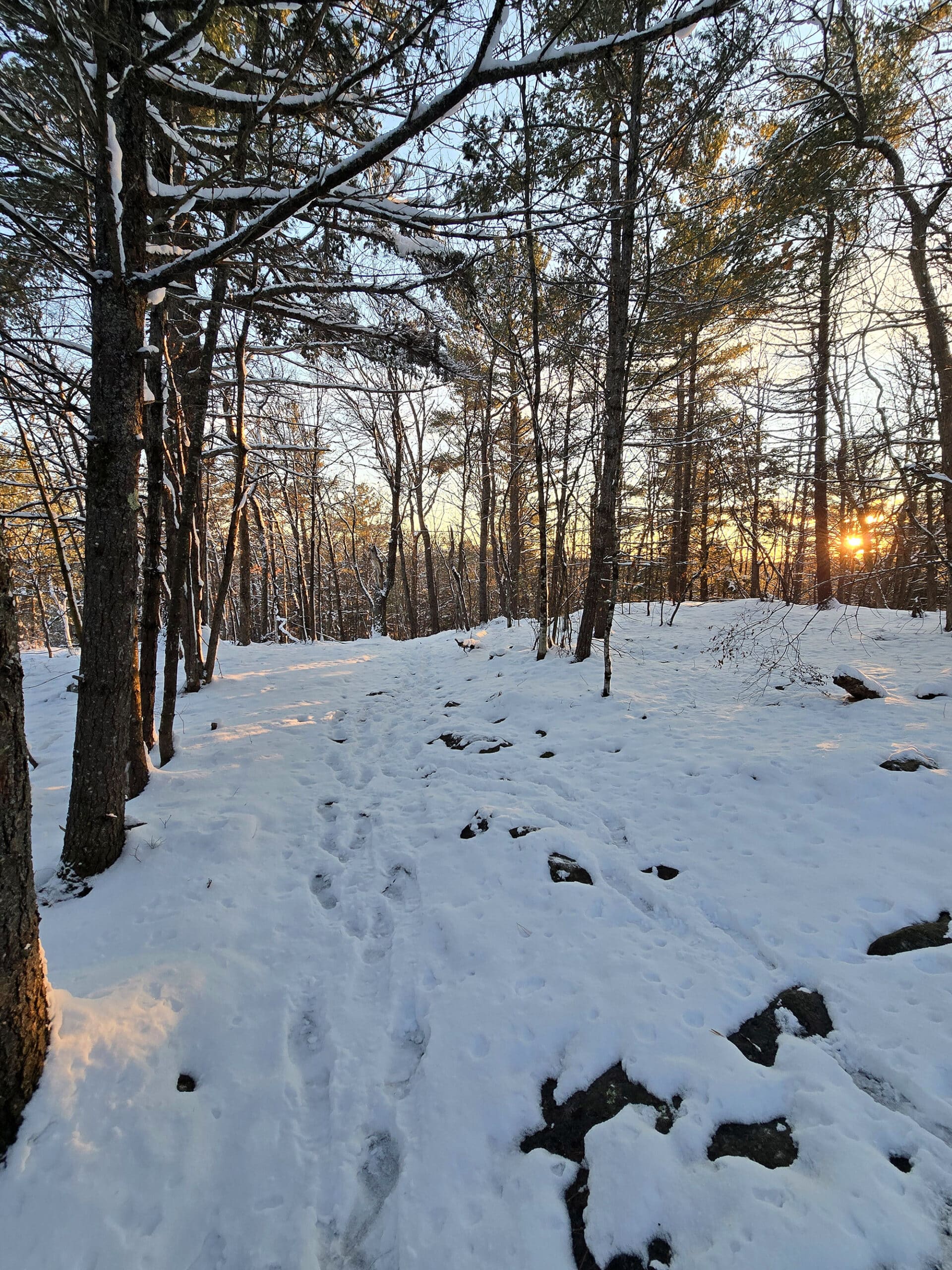 A snowy trail through the woods with the sunset in the background.