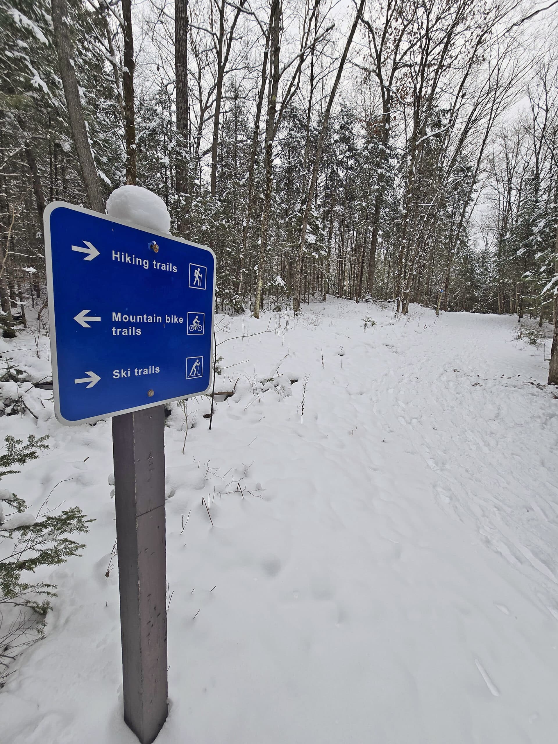 A sign pointing out the various winter trails at silent lake provincial park.