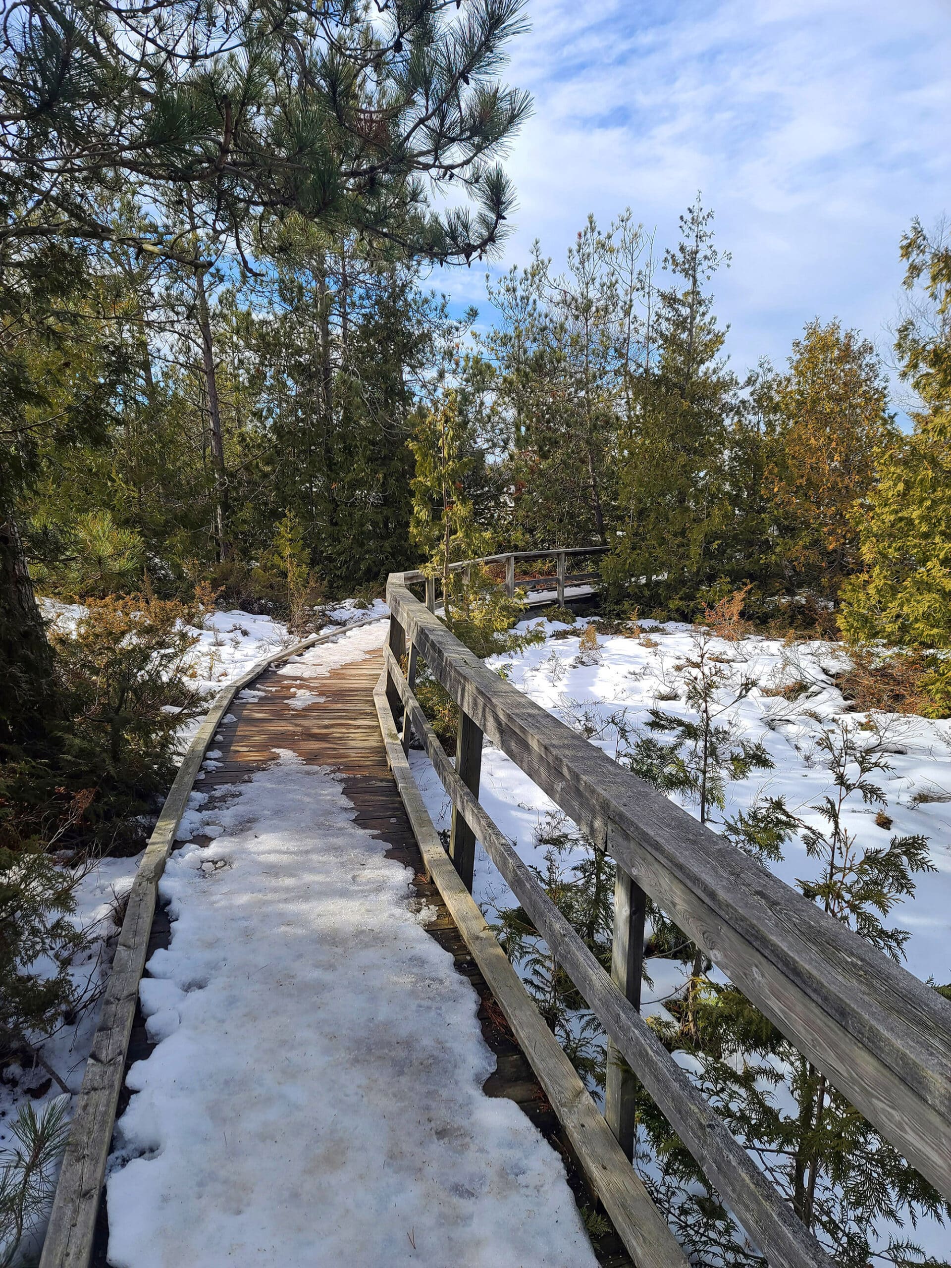 A snow covered boardwalk extending into the distance.