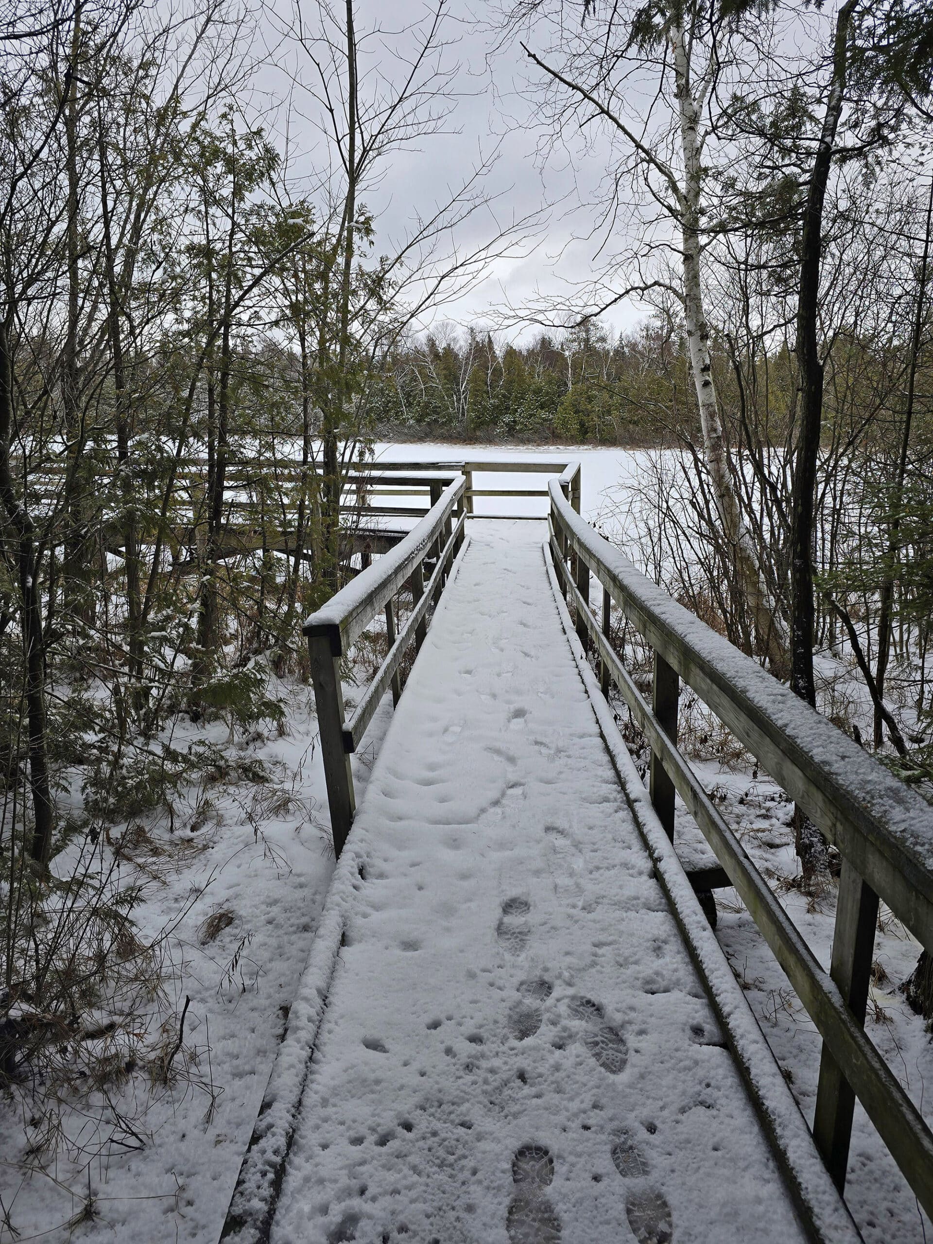 A snow covered boardwalk extending into the distance.