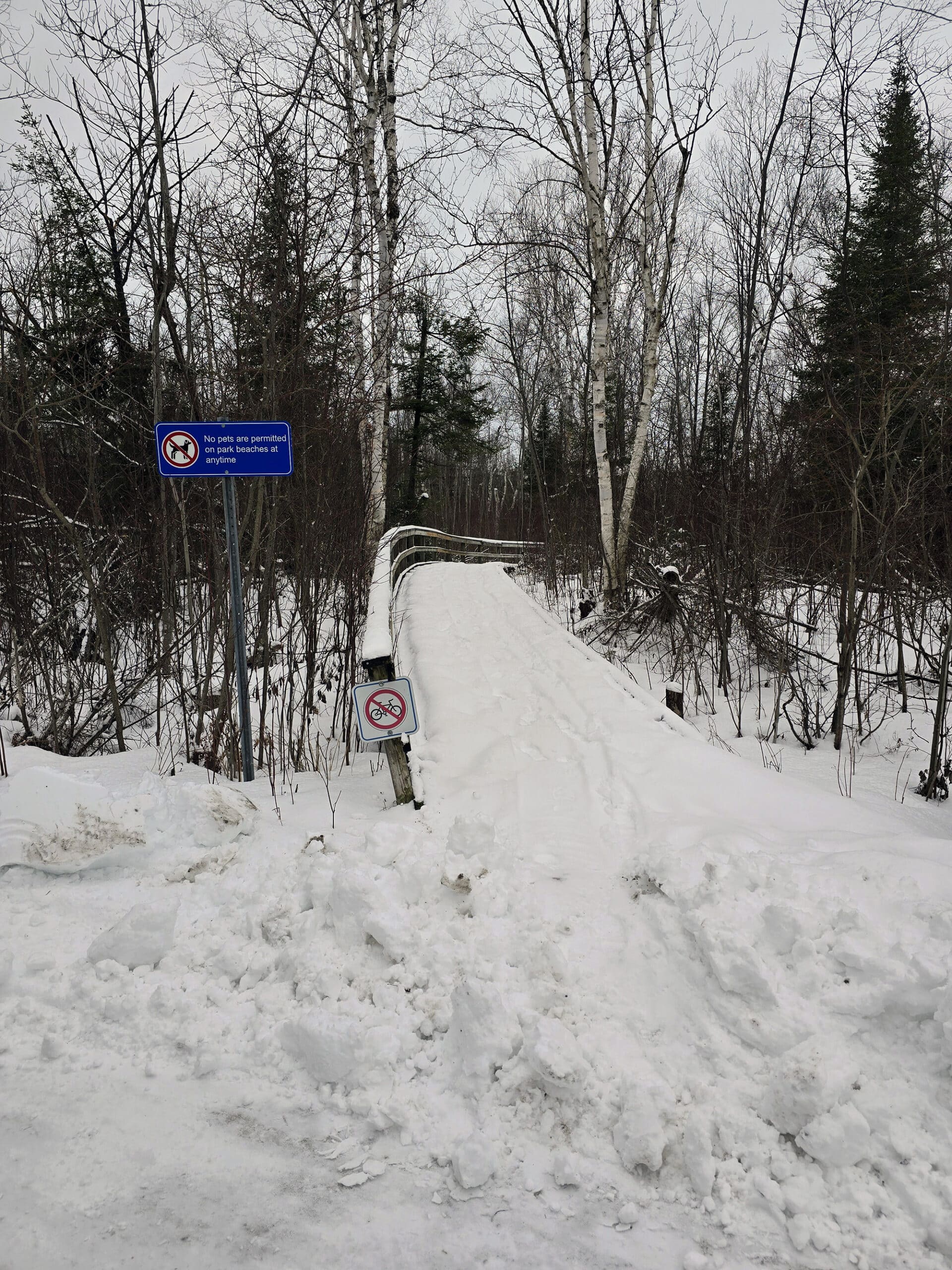 A snow covered boardwalk trail.