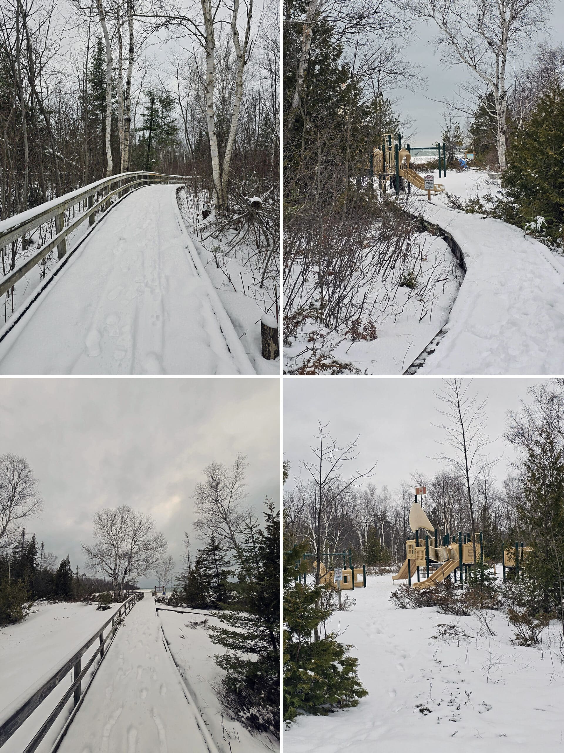 4 part image showing various views of the MacGregor Point Provincial park camper's beach and the boardwalk leading to it.