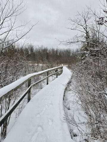 A snow covered boardwalk extending into the distance.