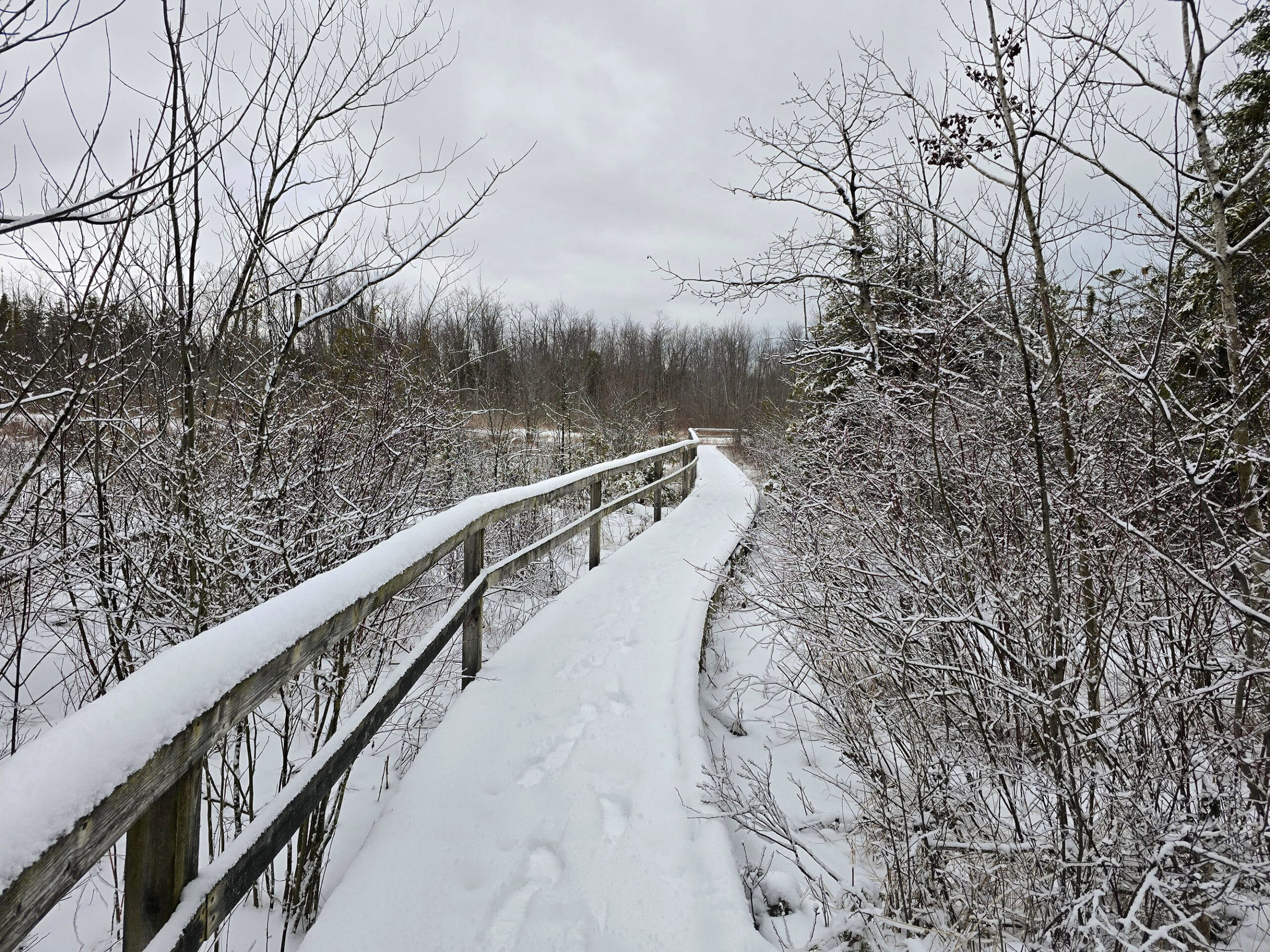 A snow covered boardwalk extending into the distance.